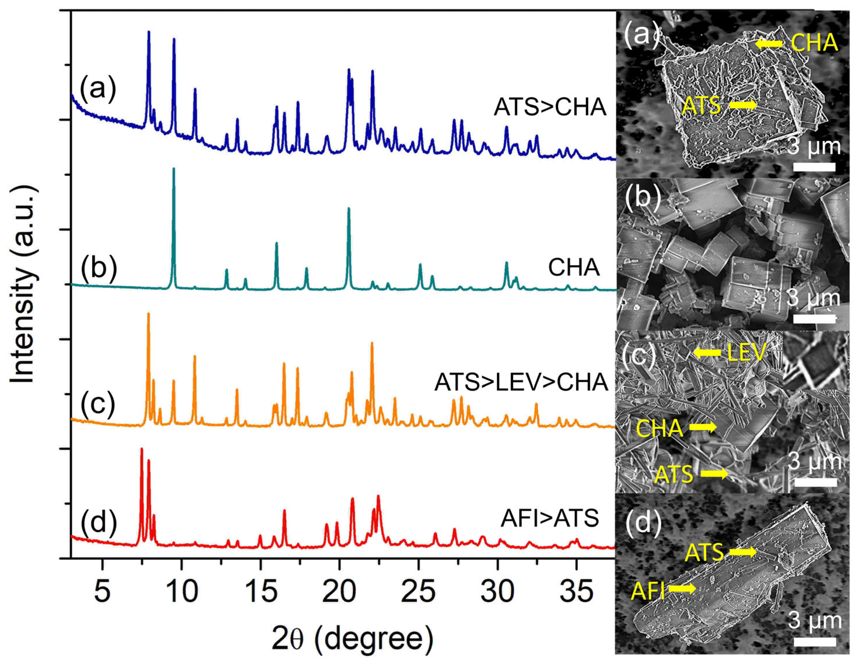 Catalysts 13 00680 g005