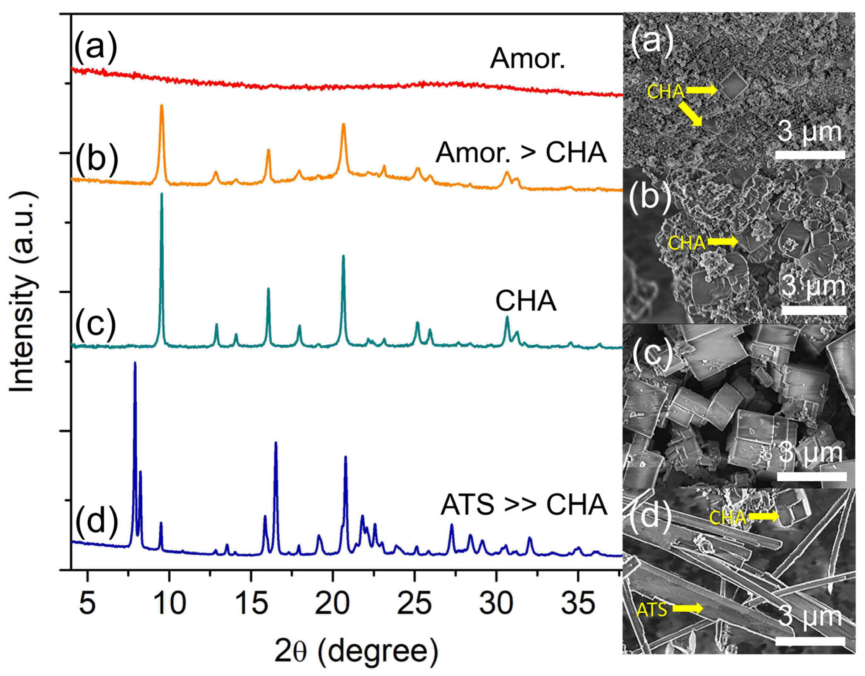Catalysts 13 00680 g006