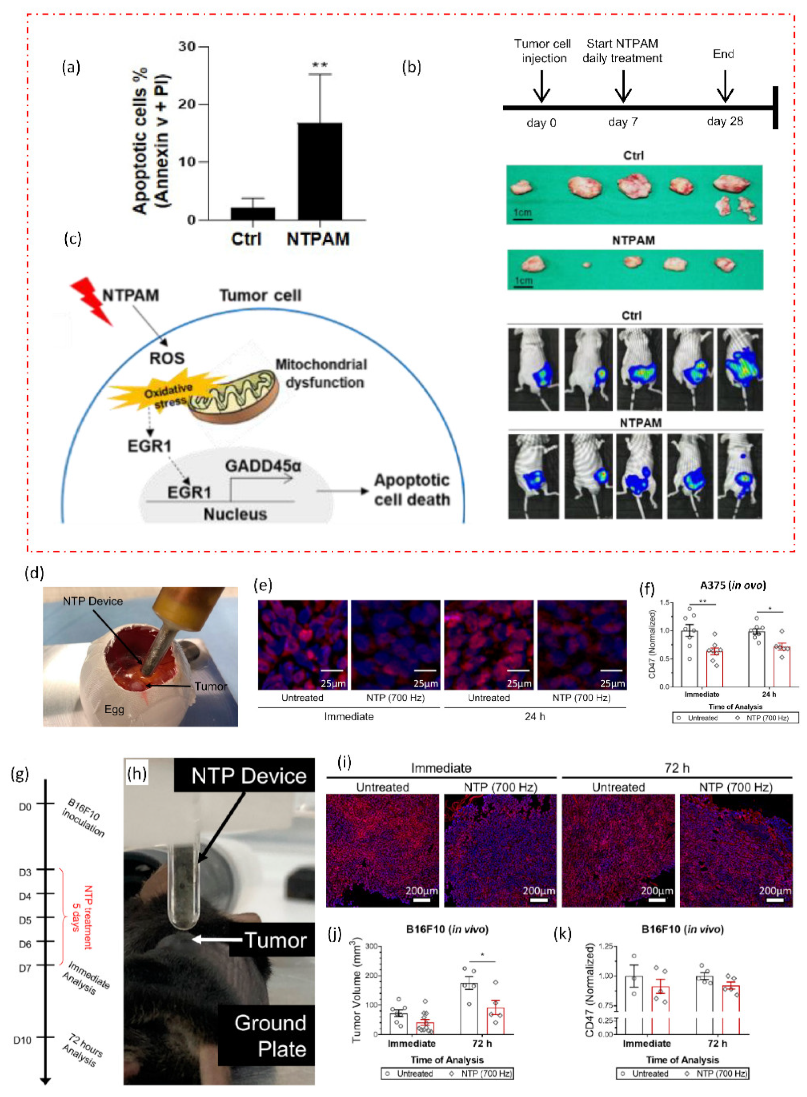 Catalysts 13 00685 g006