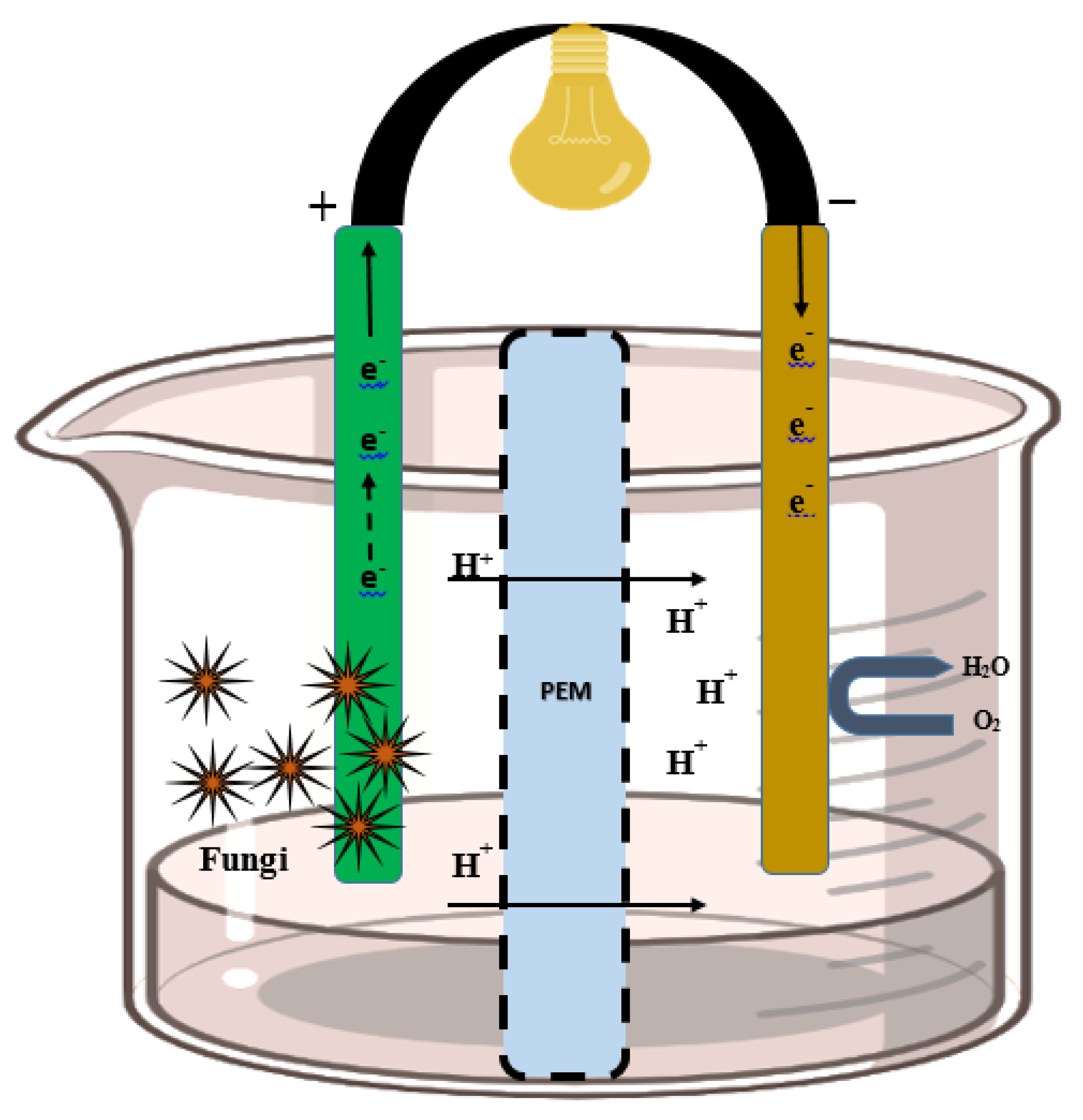 Catalysts 13 00687 g002