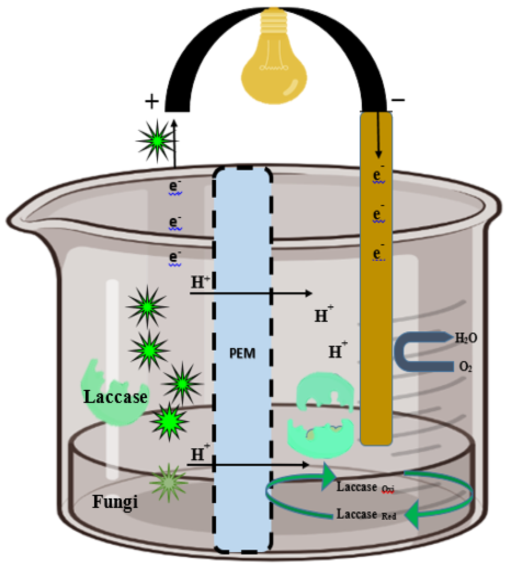 Catalysts 13 00687 g004