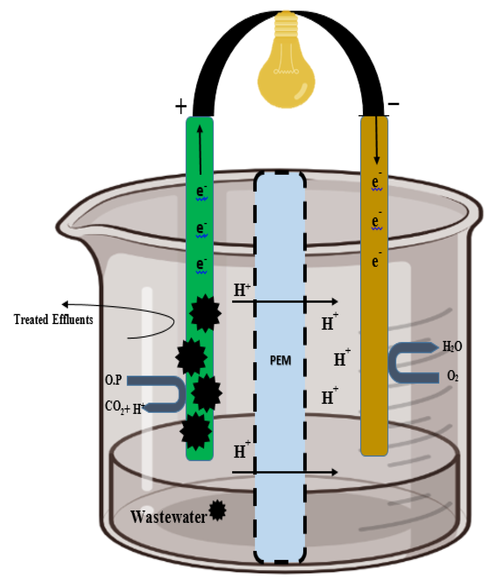 Catalysts 13 00687 g005