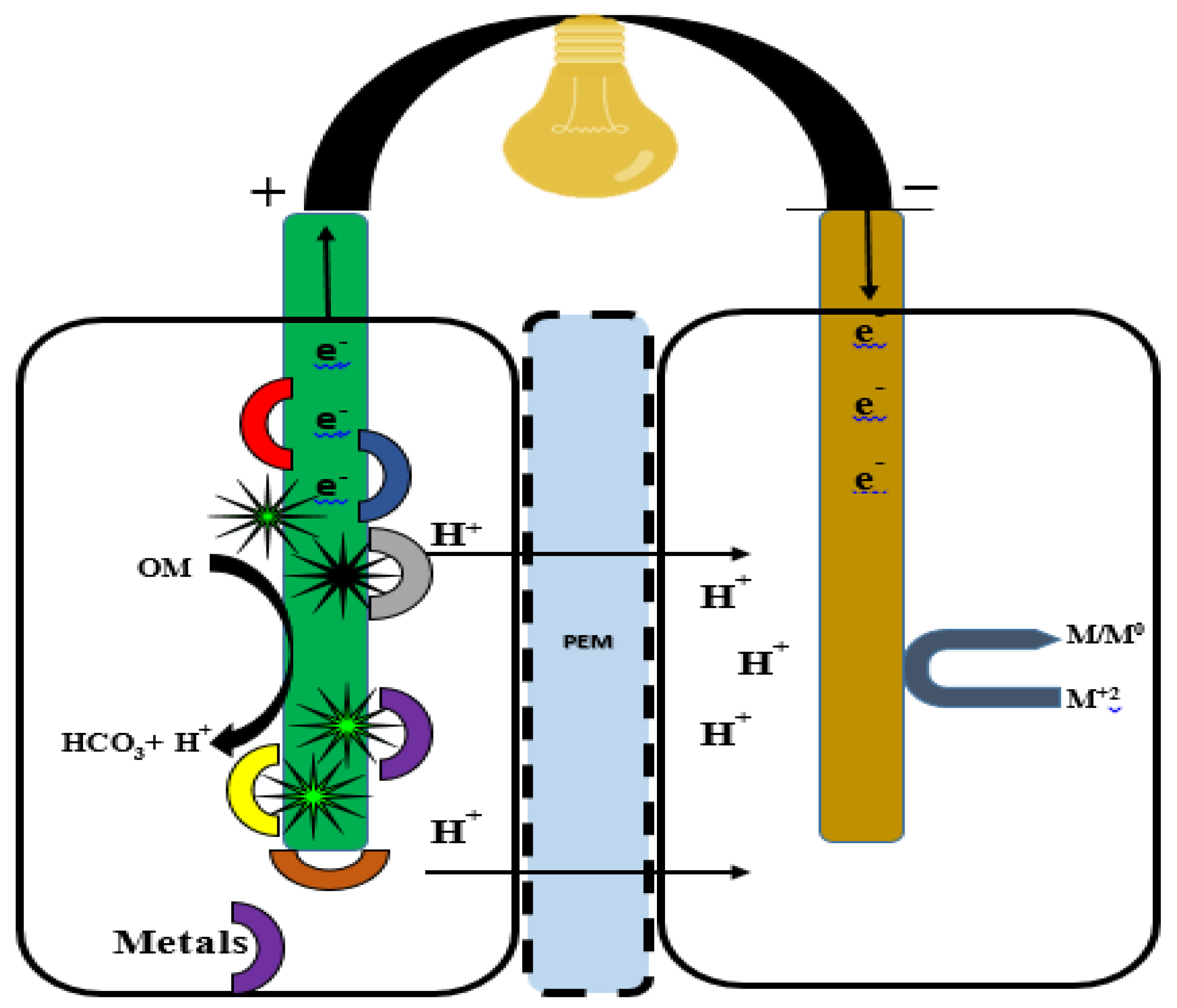 Catalysts 13 00687 g006