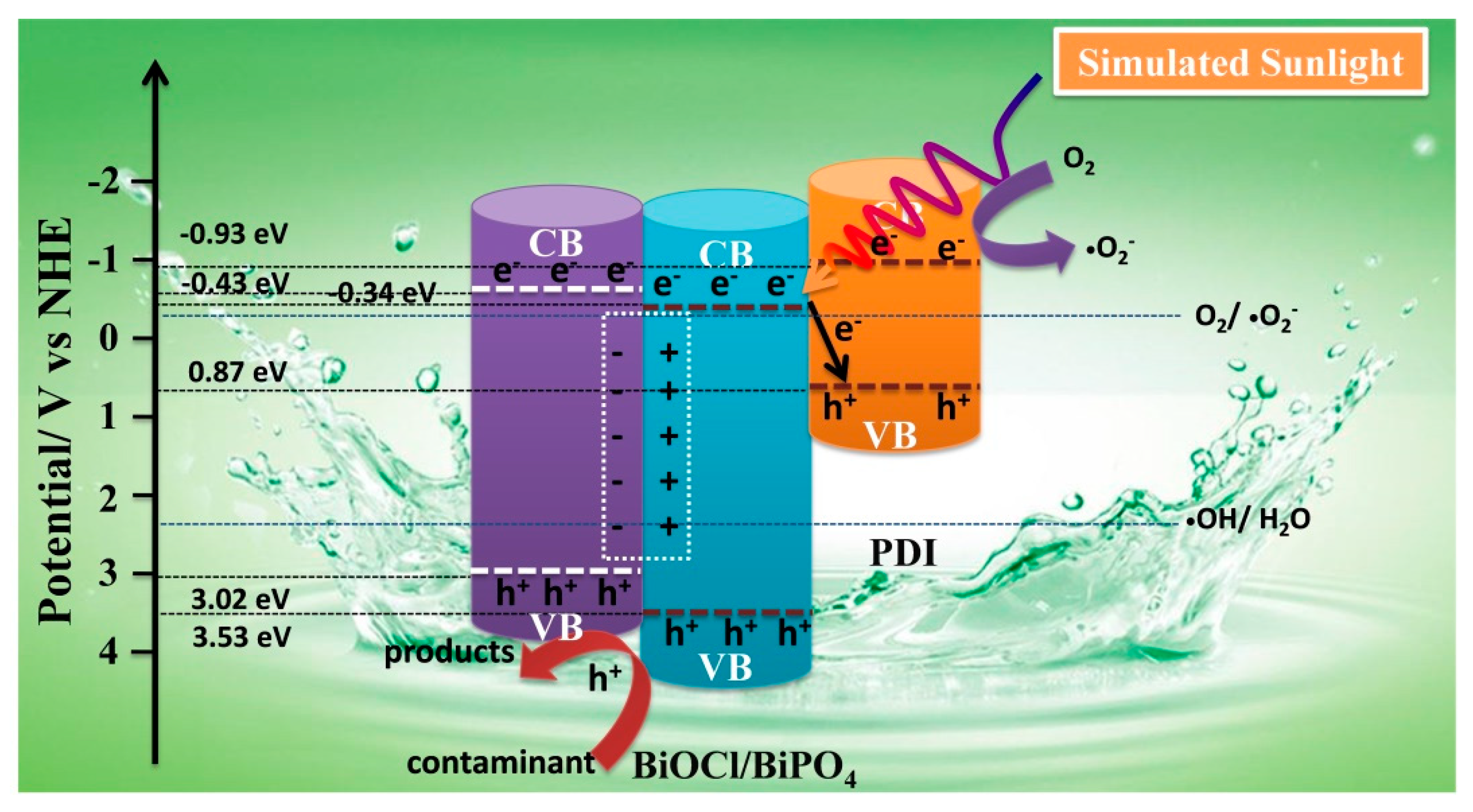 Catalysts 13 00688 g010