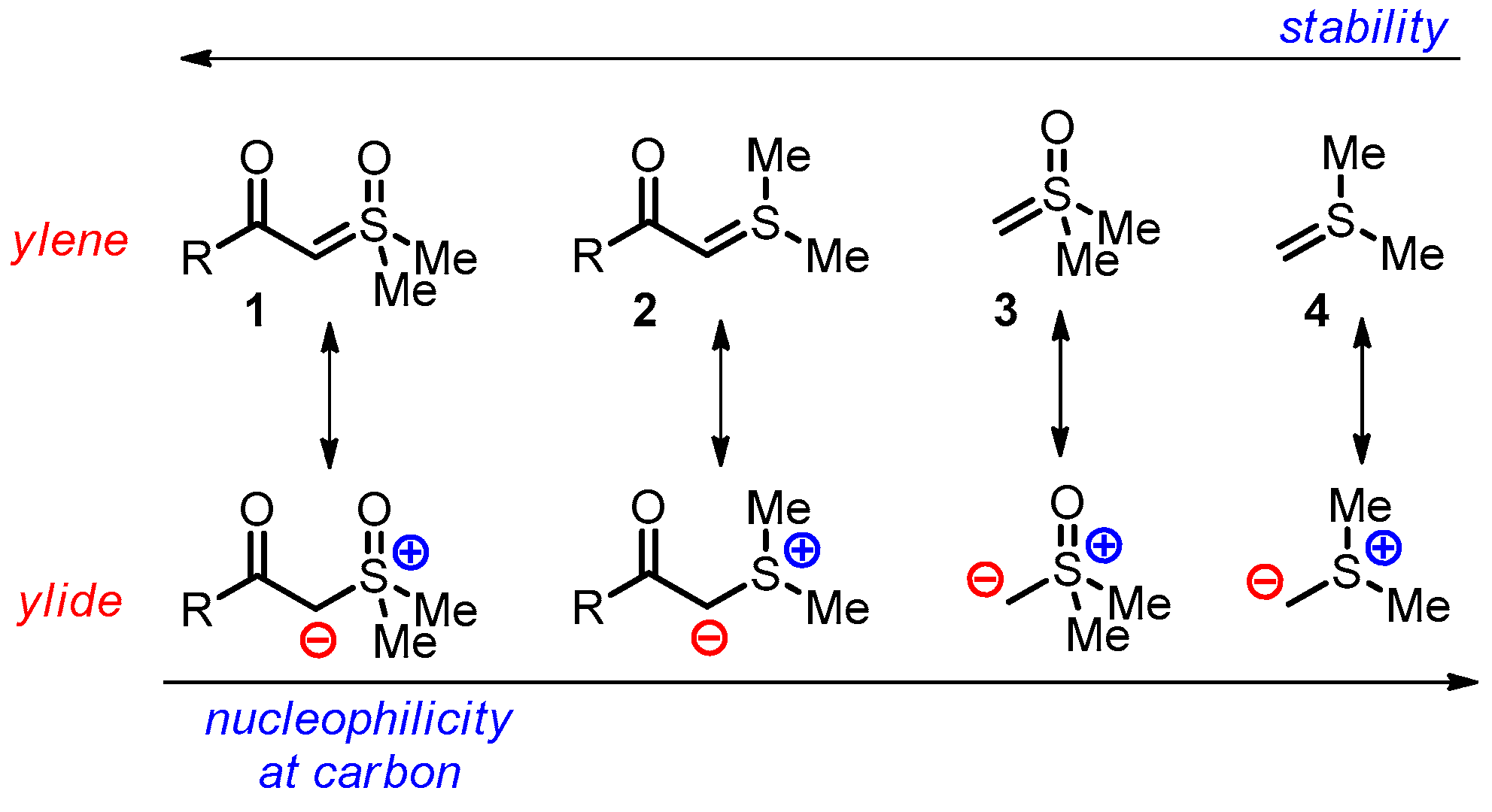 Catalysts 13 00689 sch001