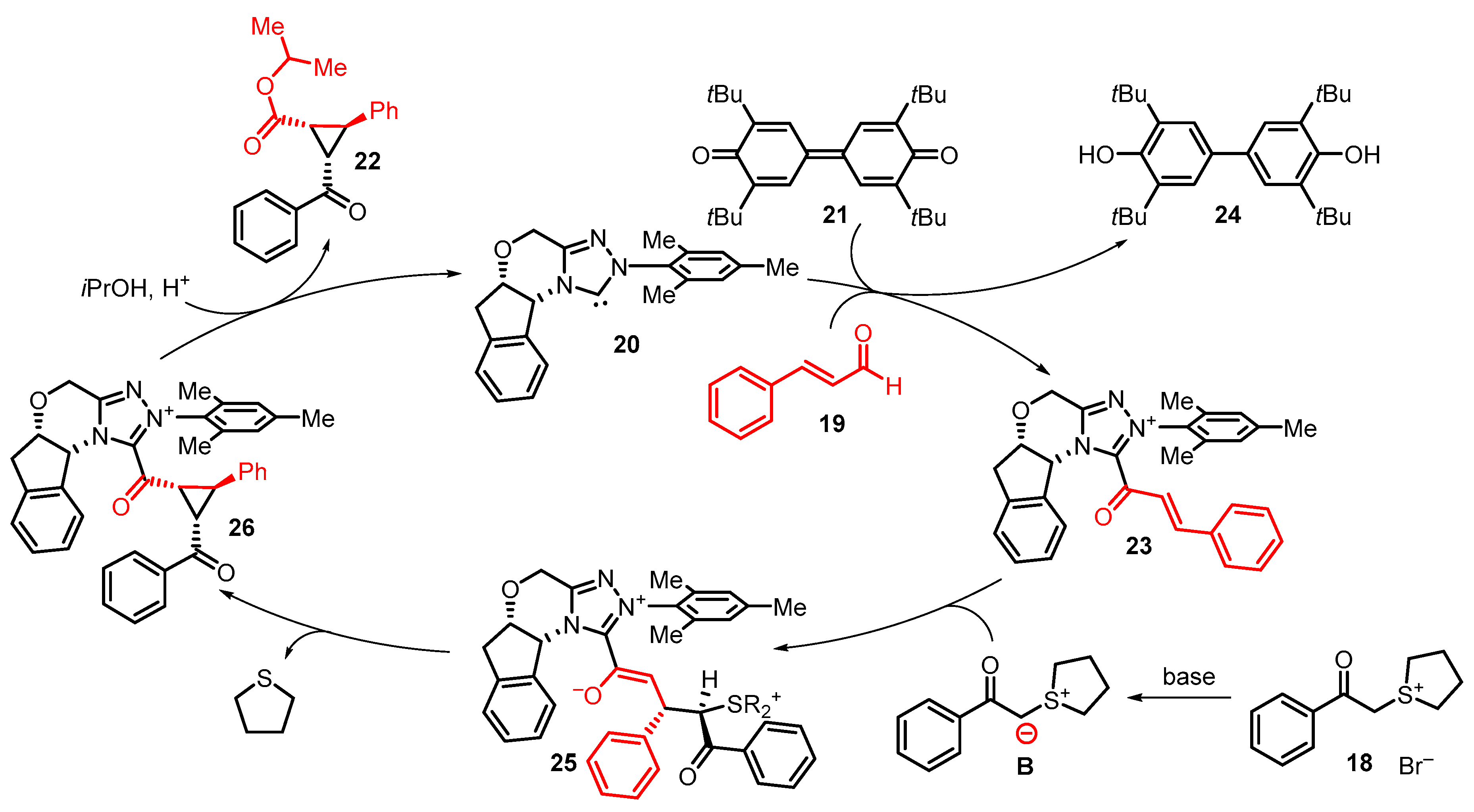 Catalysts 13 00689 sch009
