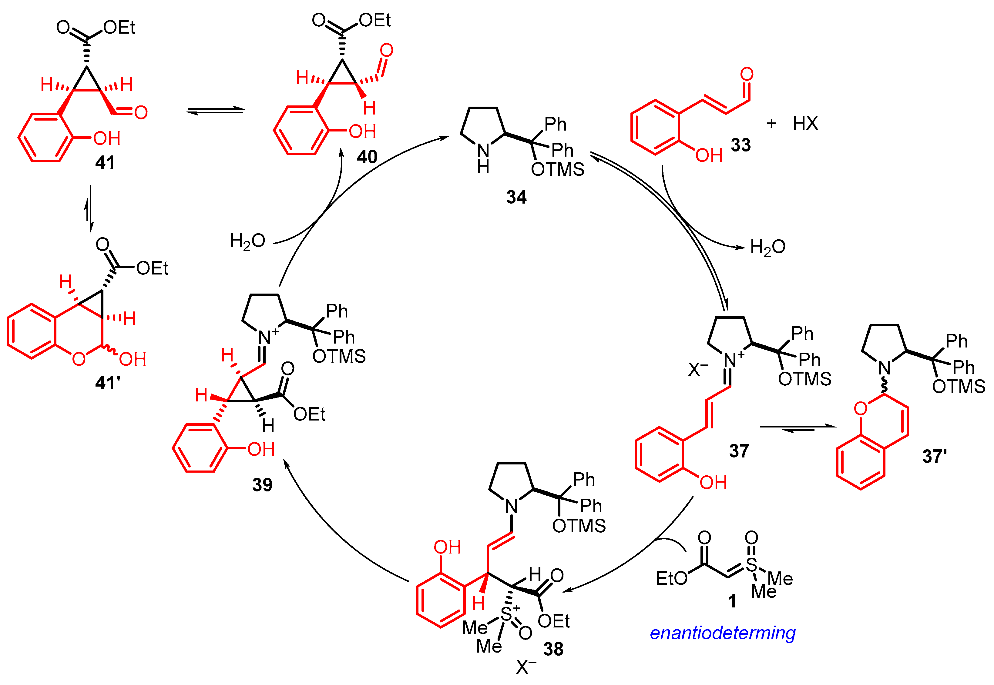 Catalysts 13 00689 sch013