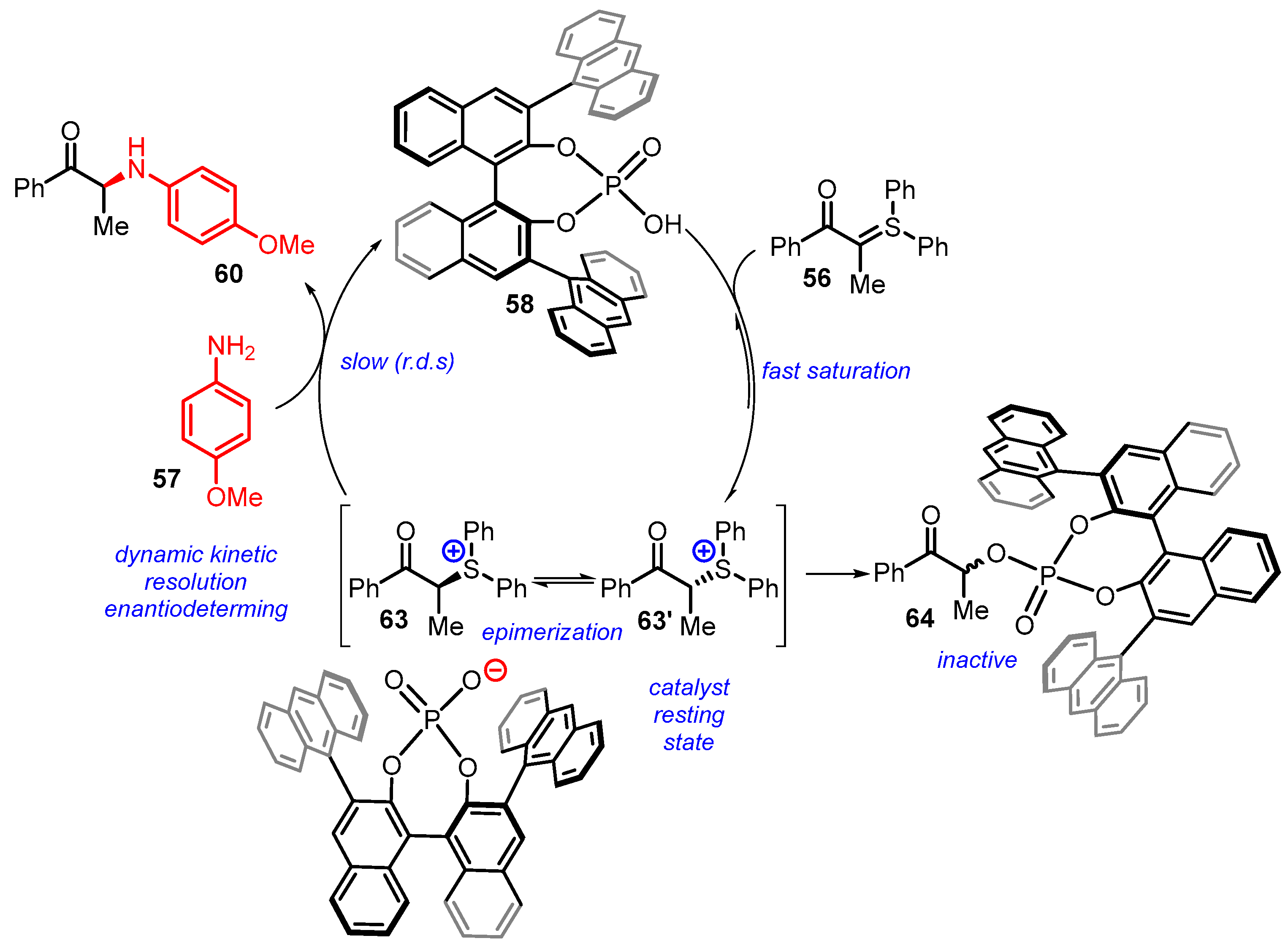Catalysts 13 00689 sch021