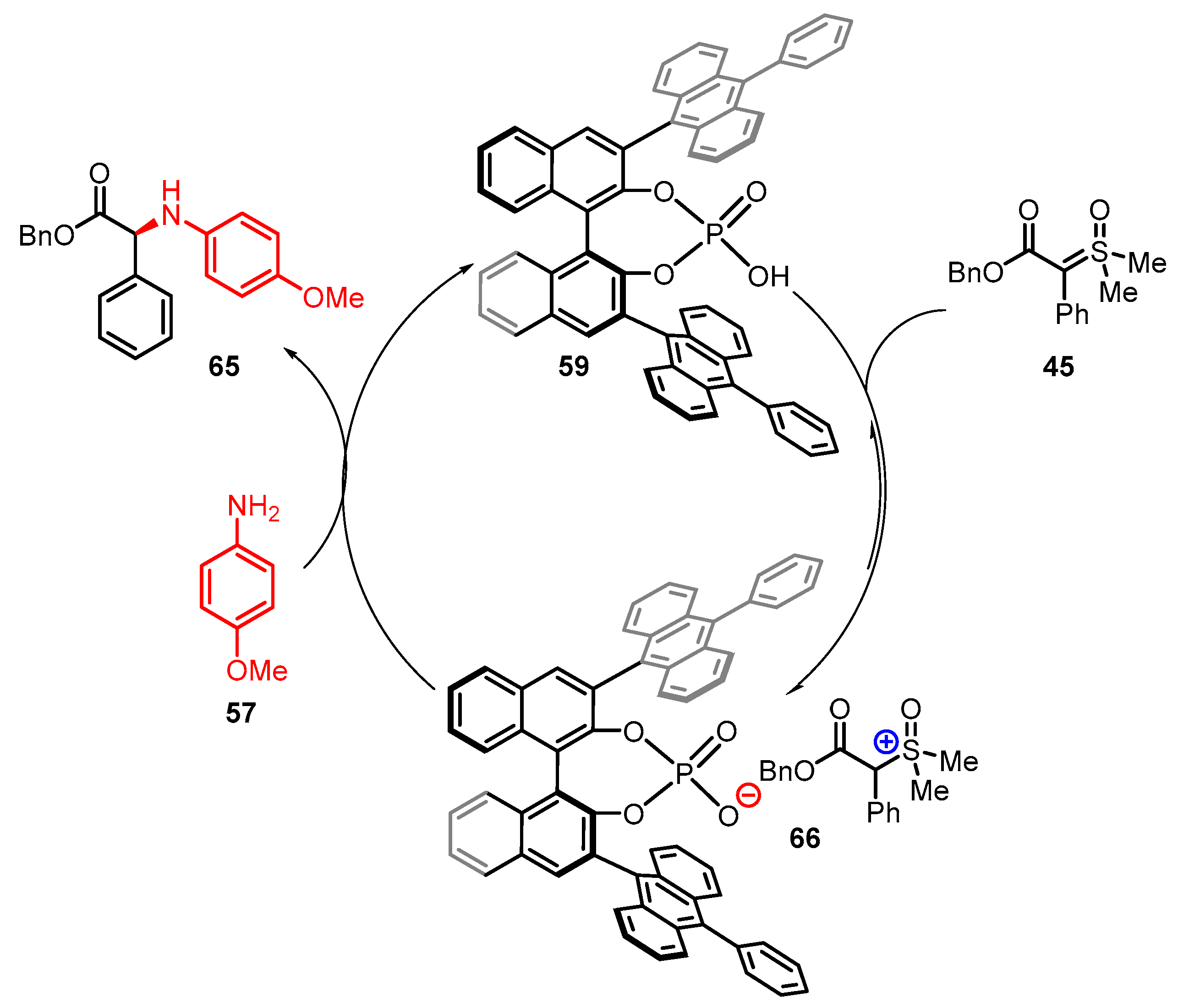 Catalysts 13 00689 sch023