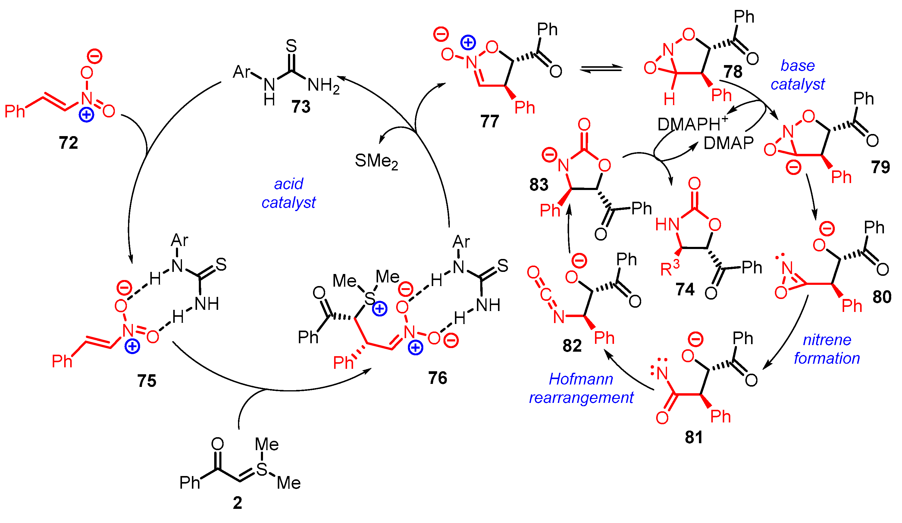 Catalysts 13 00689 sch027
