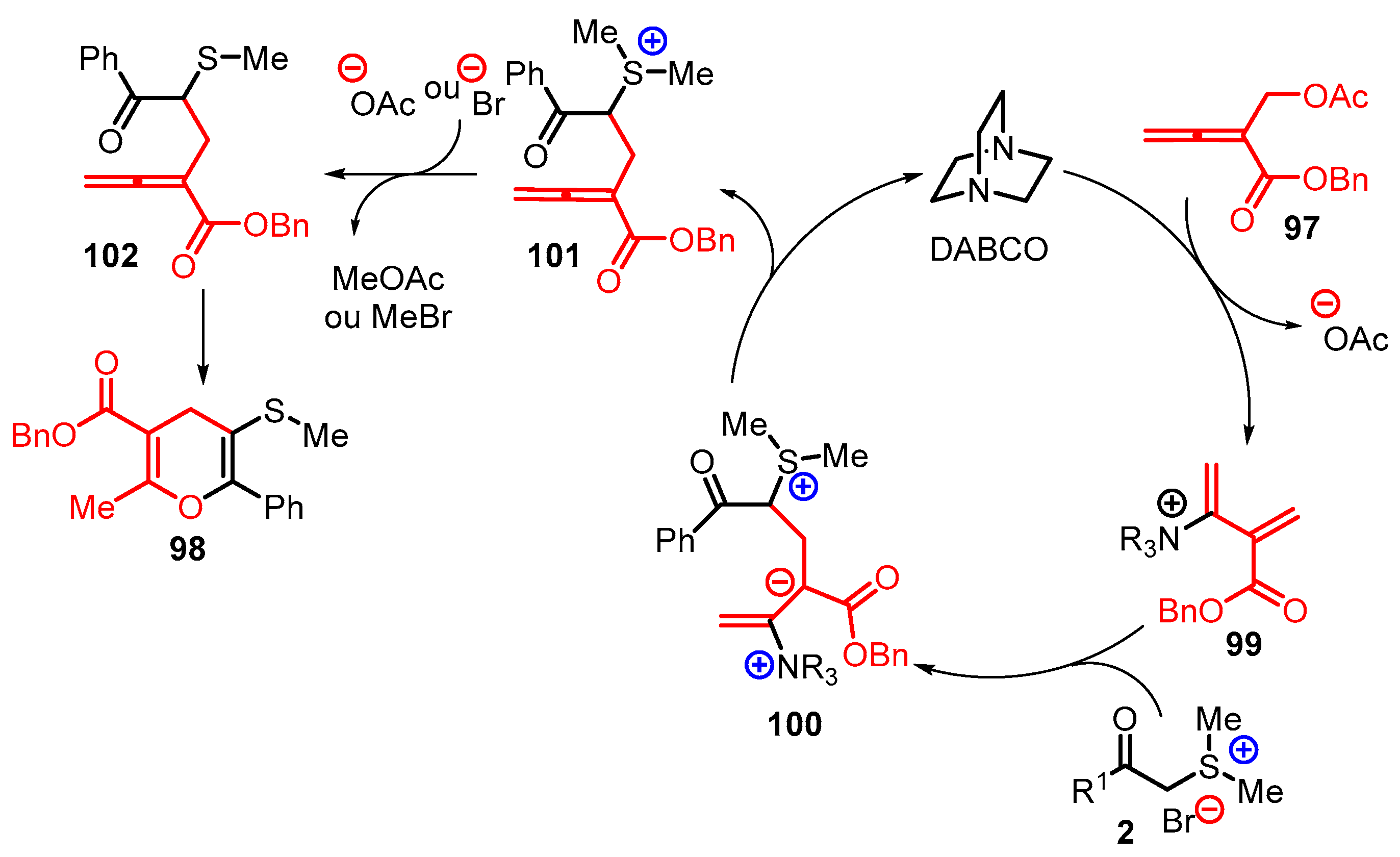 Catalysts 13 00689 sch034