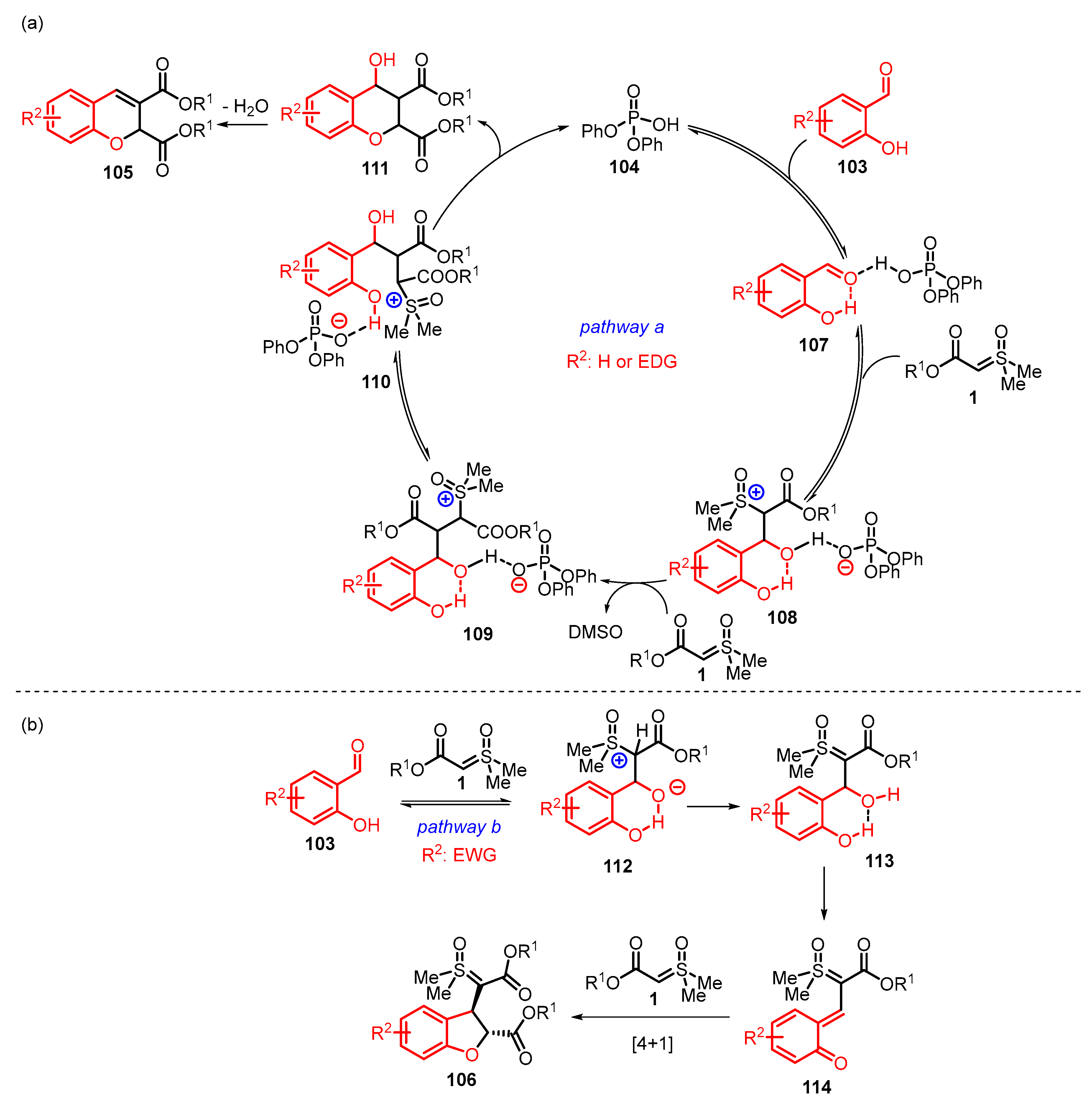 Catalysts 13 00689 sch036