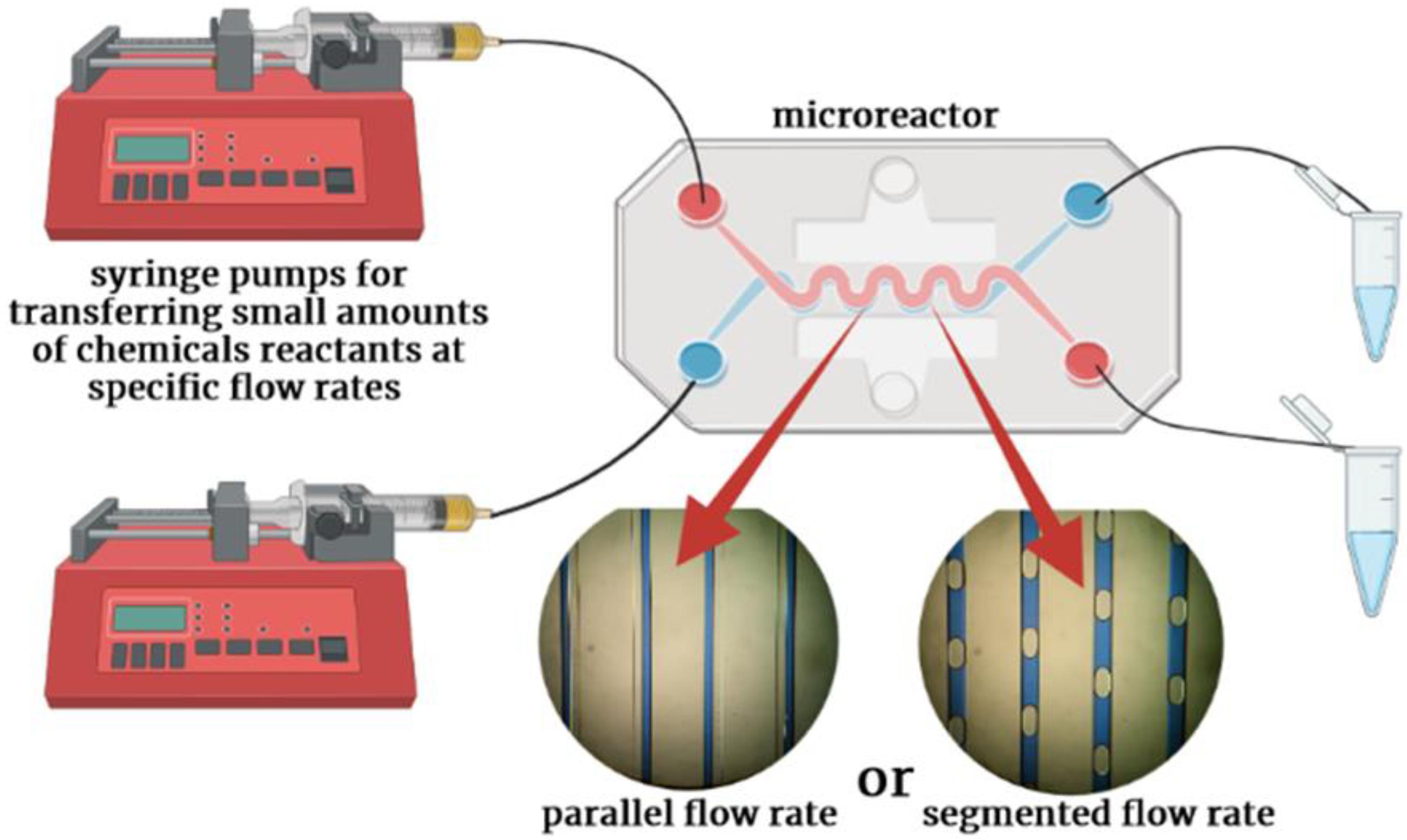 Catalysts 13 00690 g001