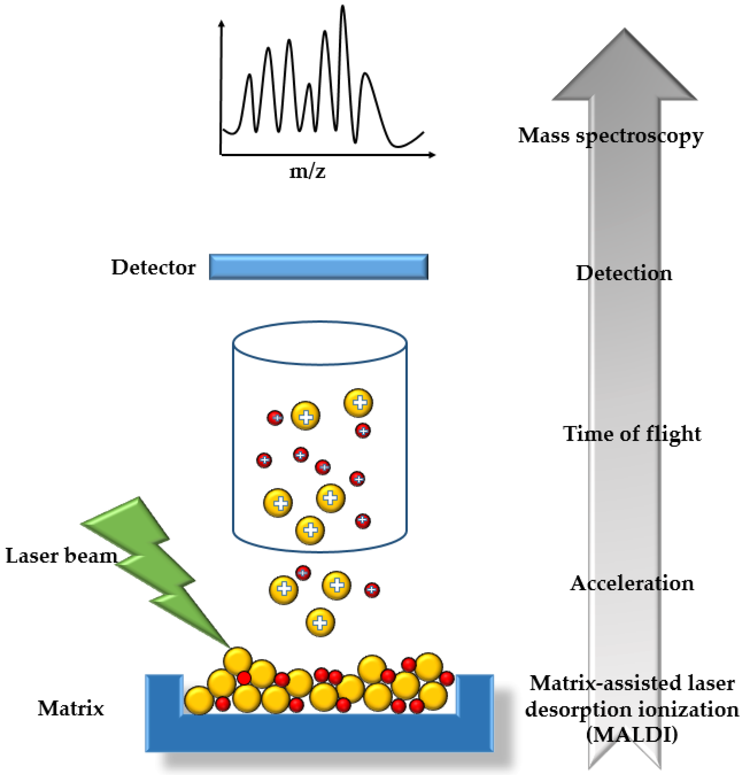 Catalysts 13 00690 g007