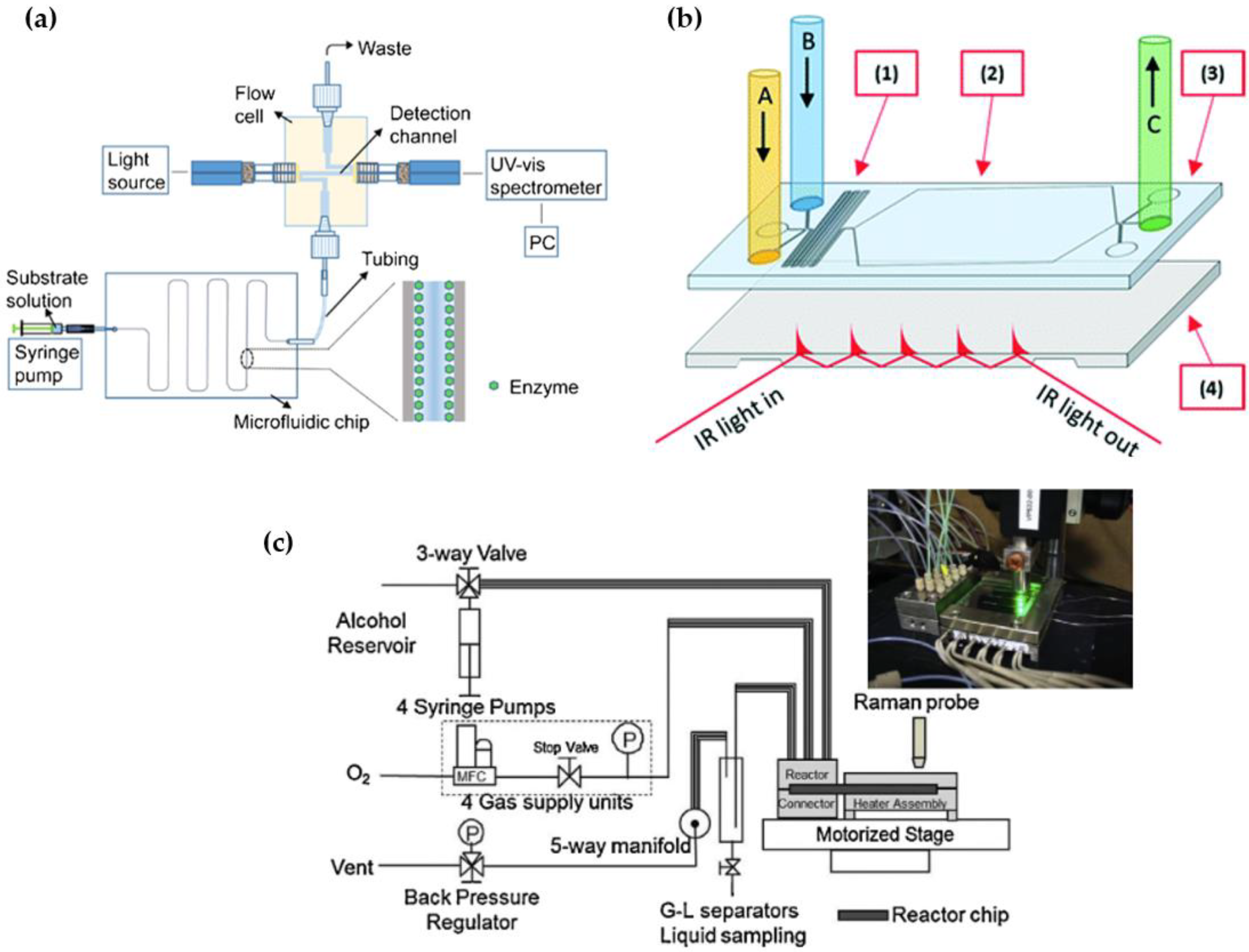 Catalysts 13 00690 g008