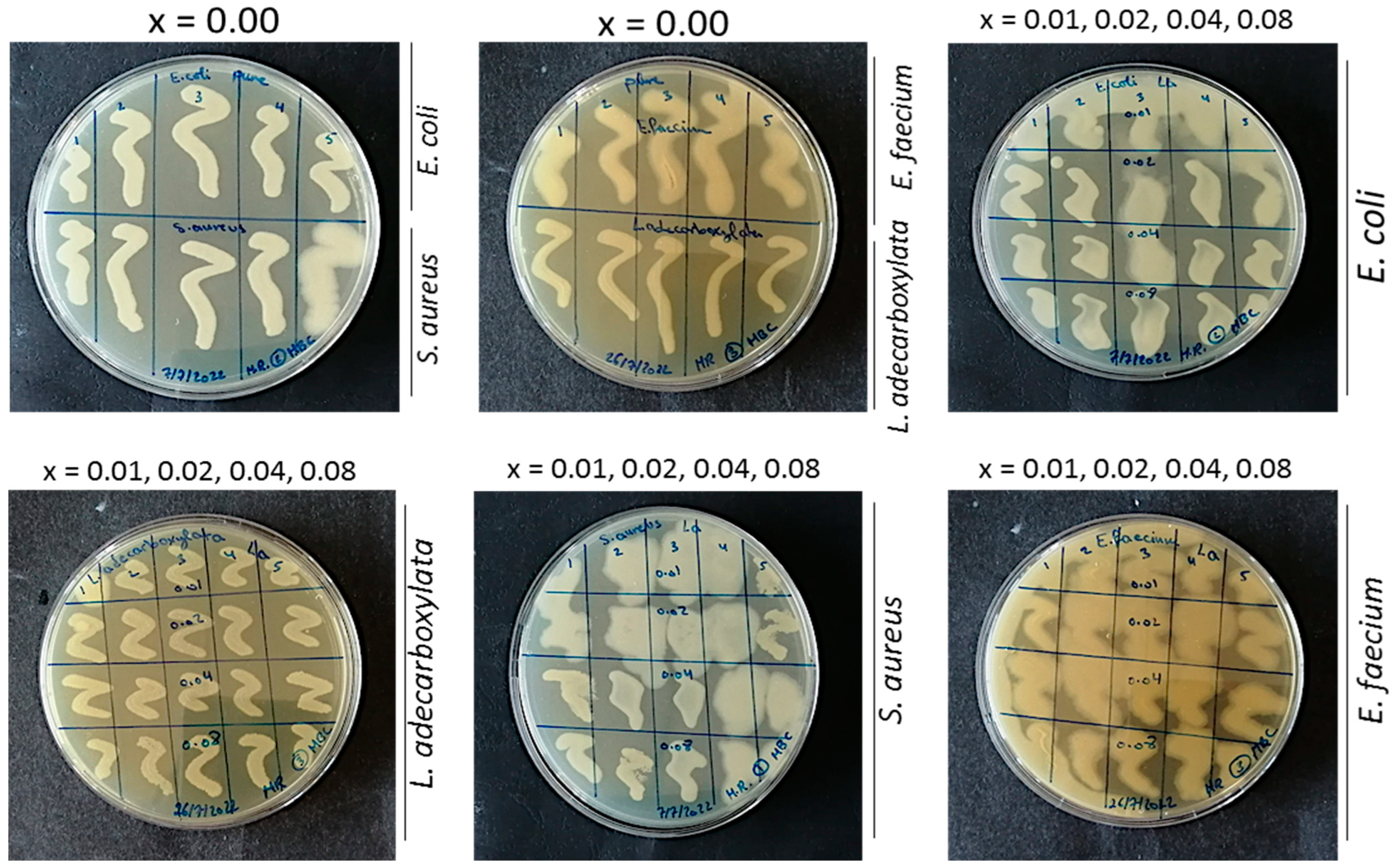 Catalysts 13 00693 g0a4