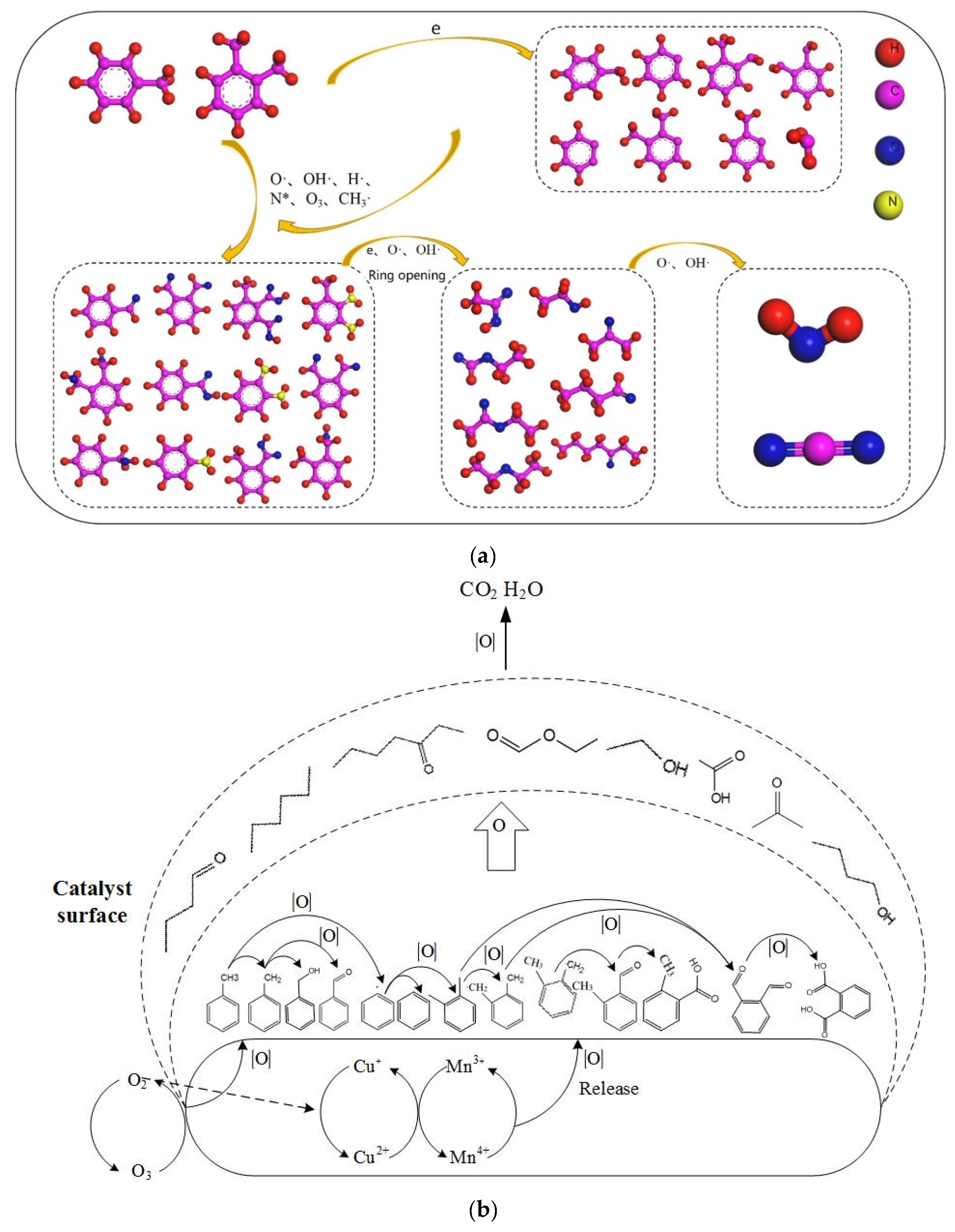 Catalysts 13 00695 g009