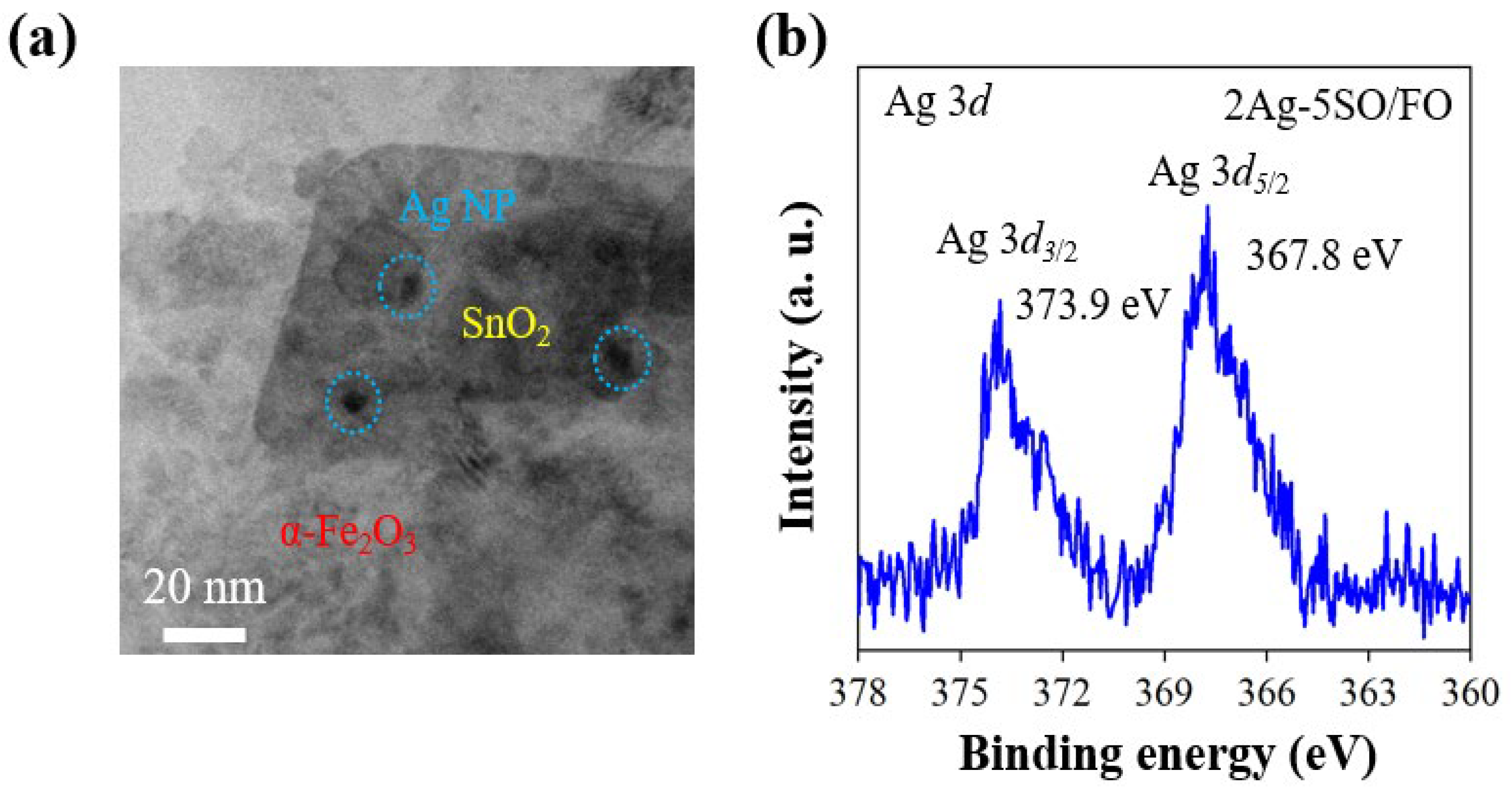 Catalysts 13 00696 g002