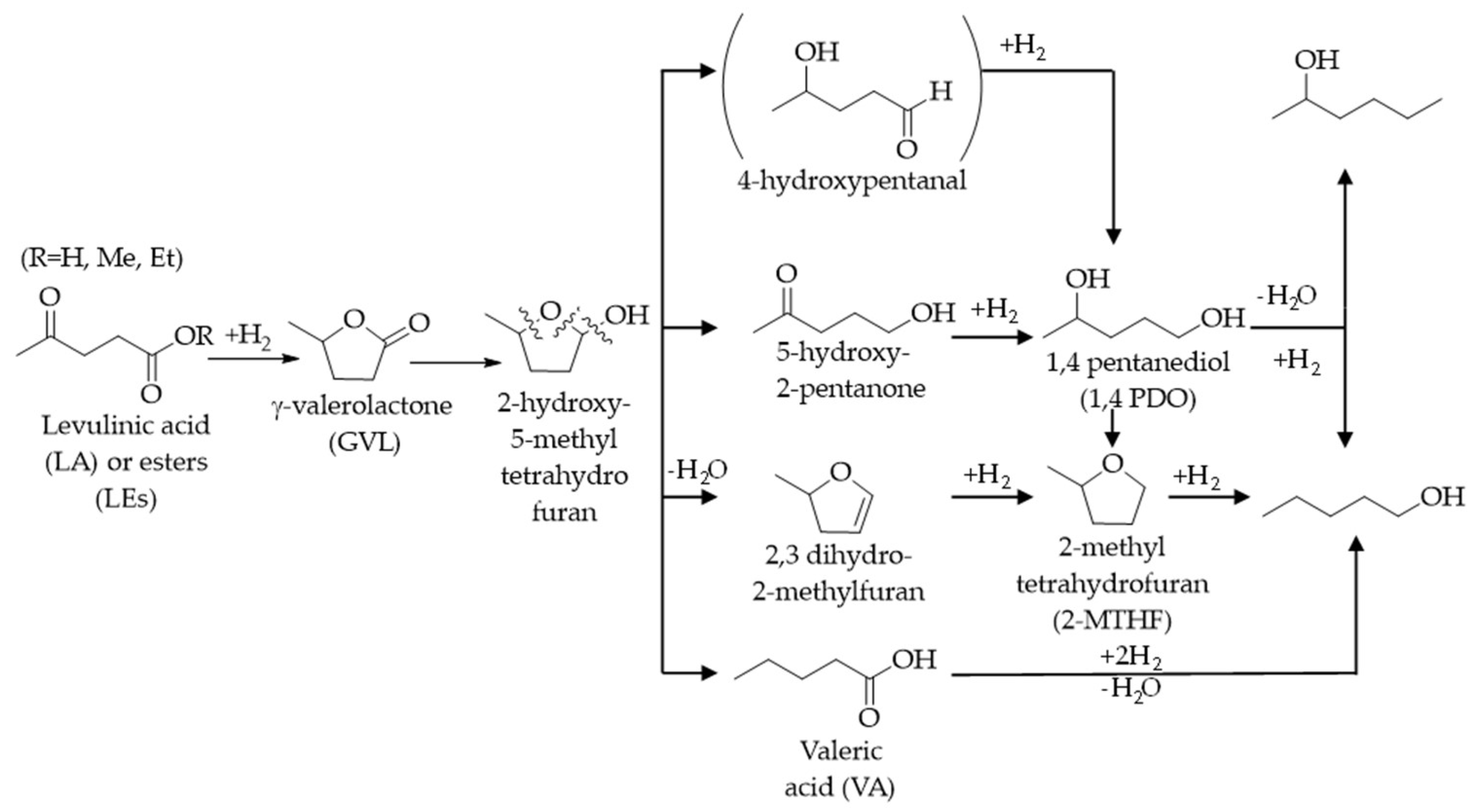 Catalysts 13 00697 sch005 Catalysts 13 00697 sch005