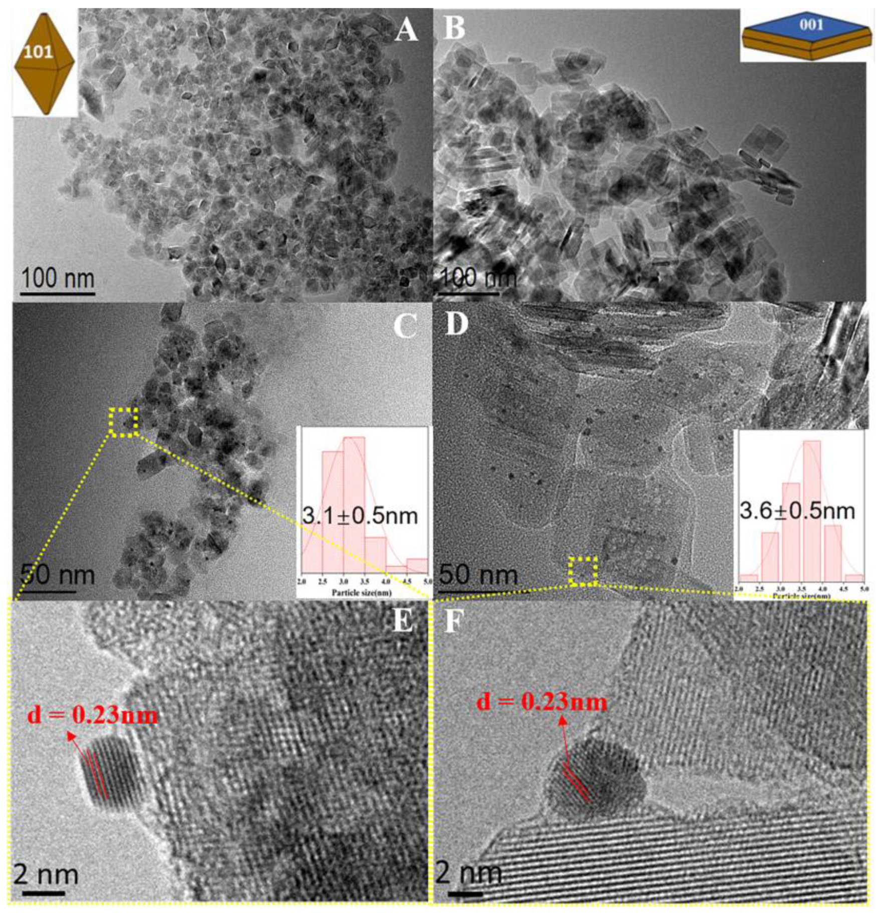 Catalysts 13 00699 g002