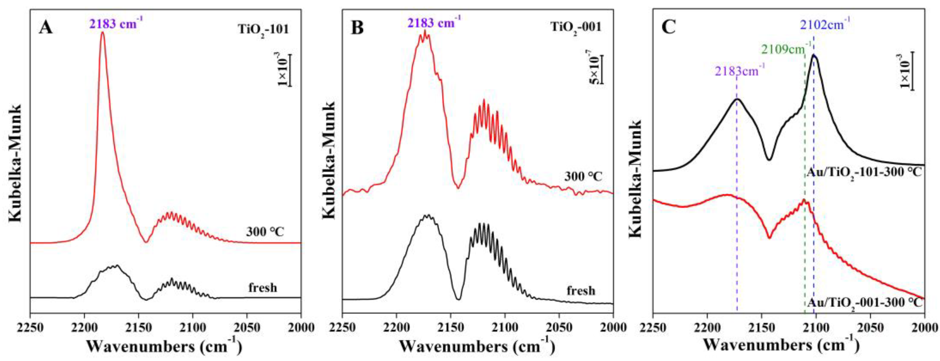 Catalysts 13 00699 g005