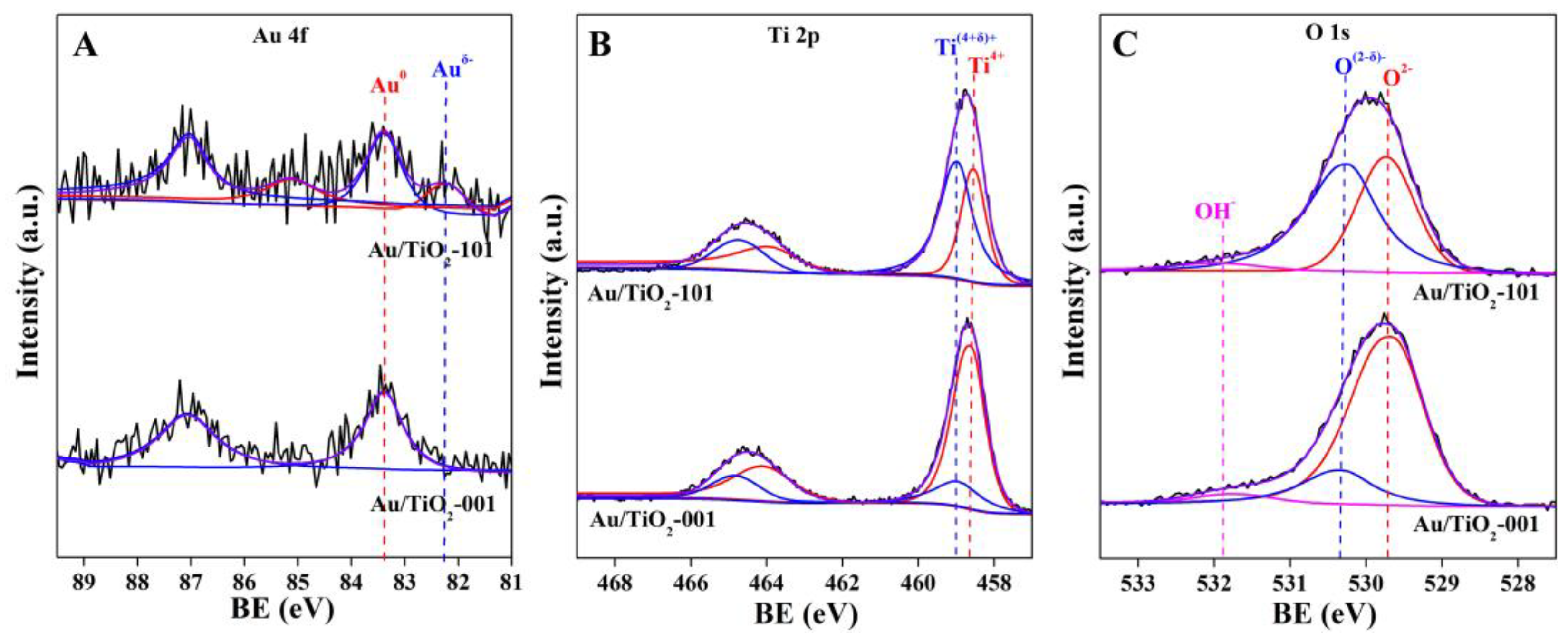 Catalysts 13 00699 g006