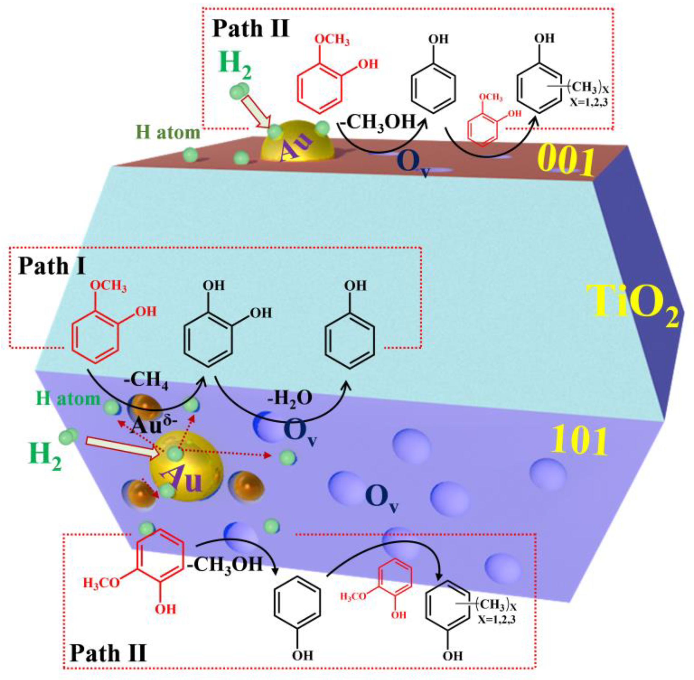 Catalysts 13 00699 sch001