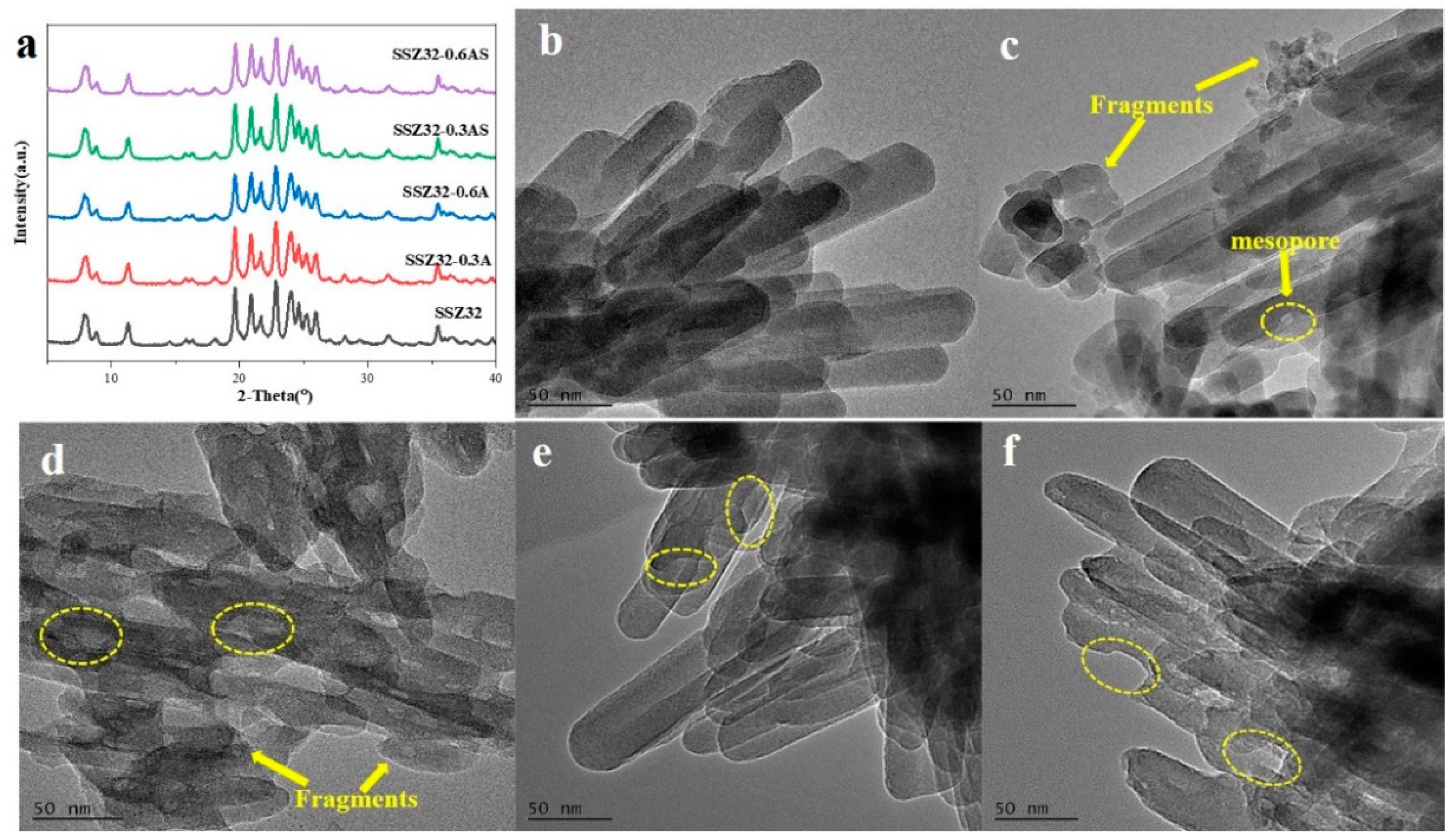 Catalysts 13 00702 g001