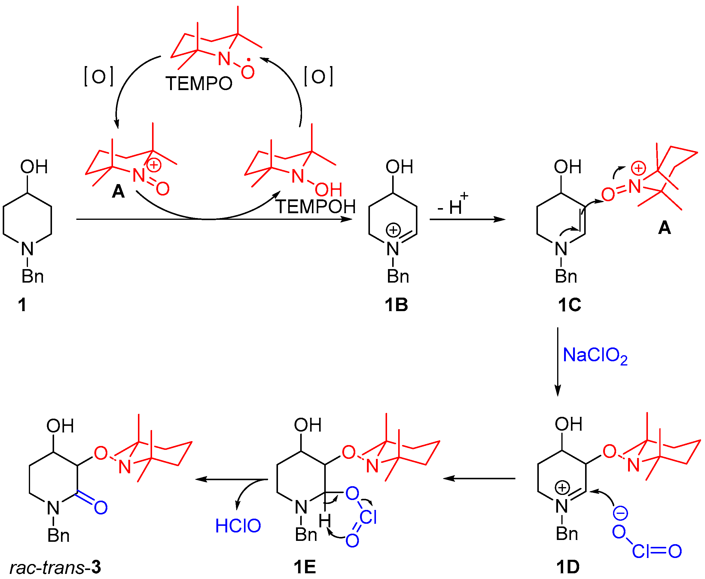 Catalysts 13 00703 sch002