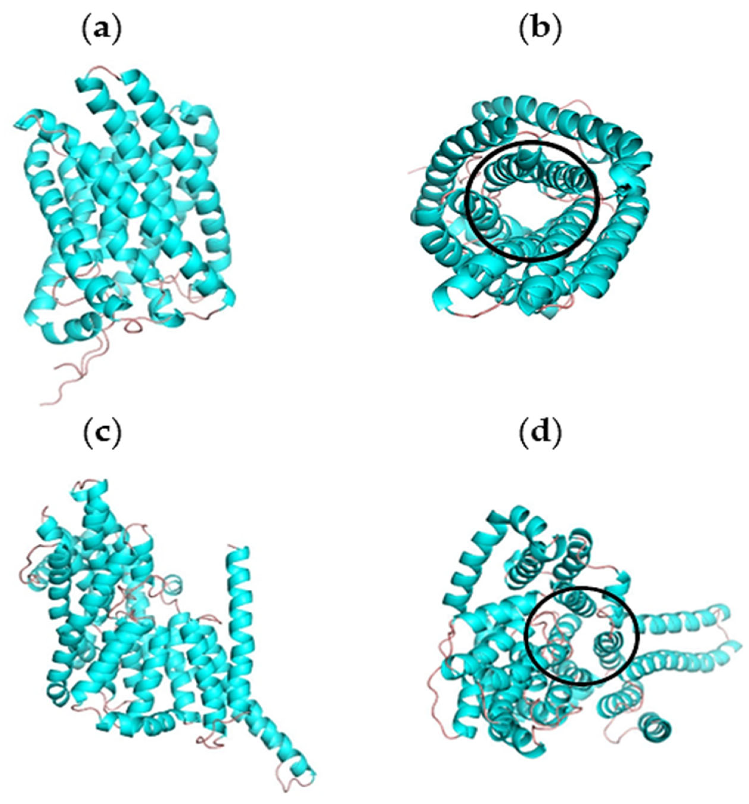 Catalysts 13 00705 g002