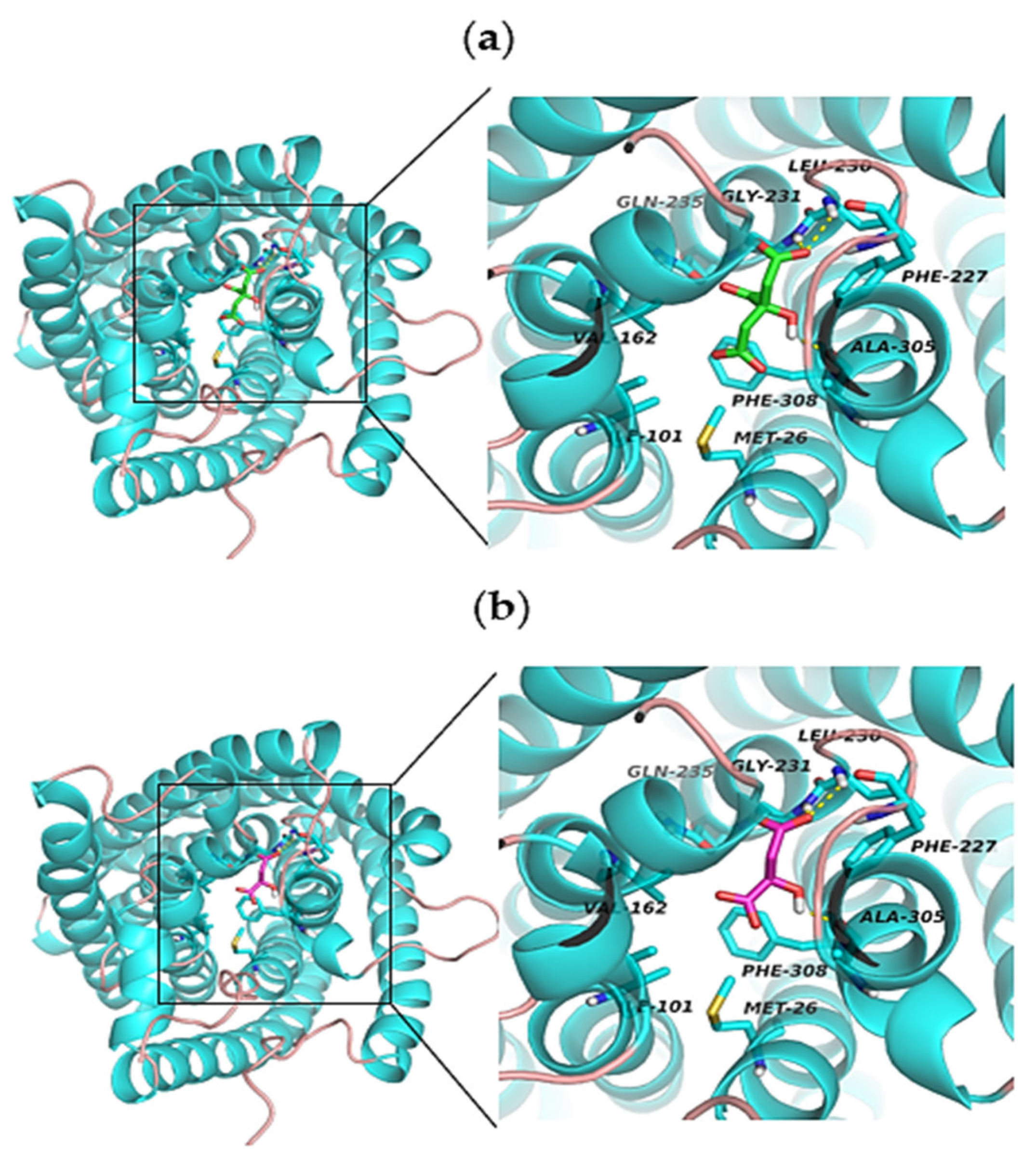 Catalysts 13 00705 g005