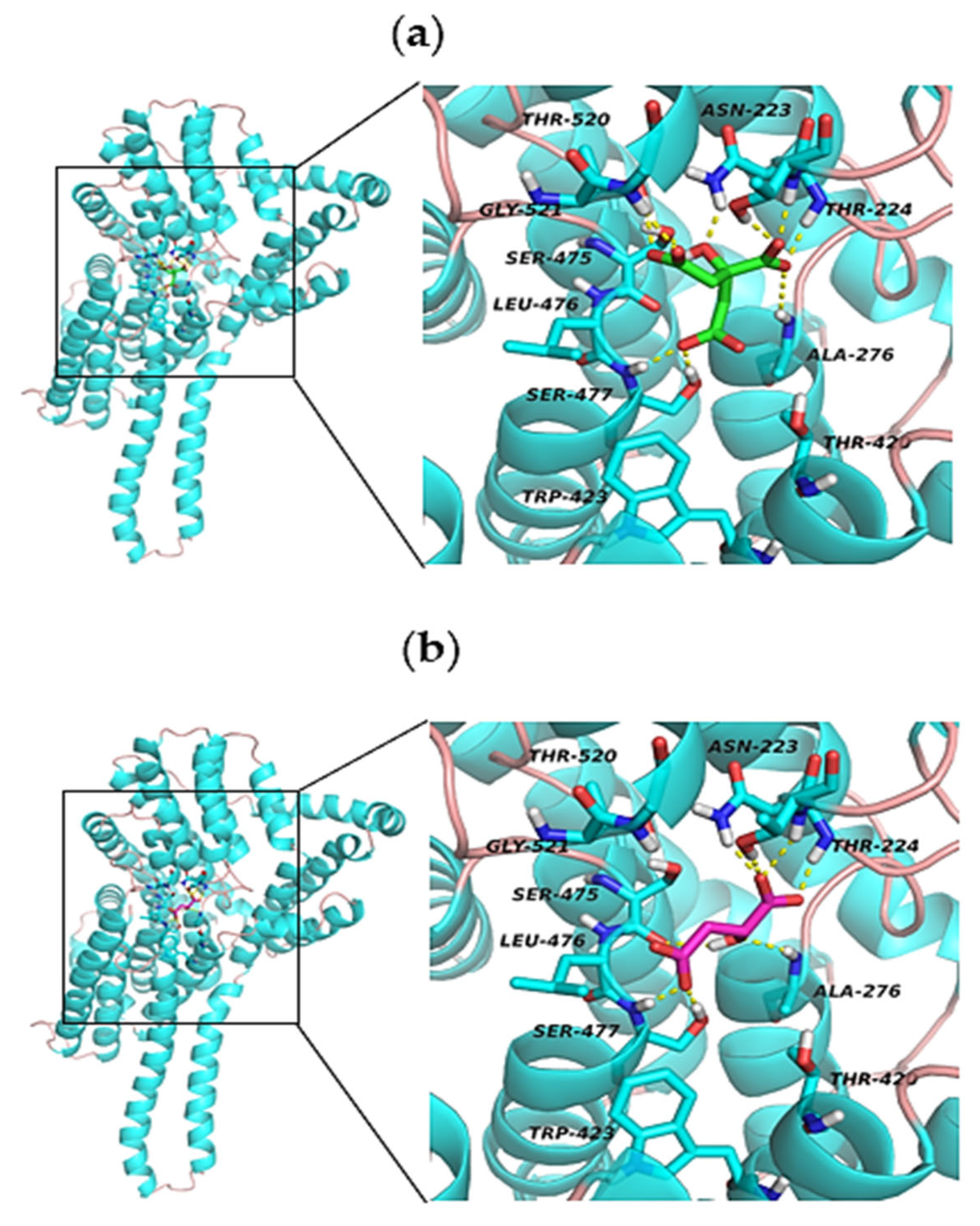 Catalysts 13 00705 g006