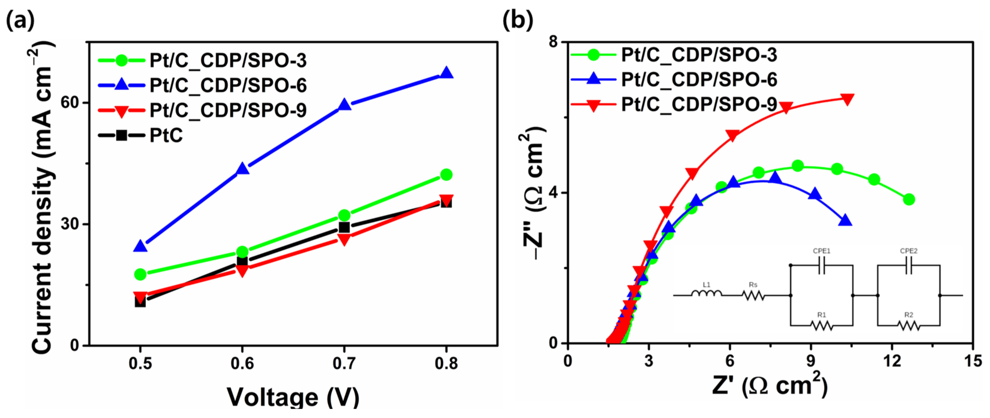 Catalysts 13 00707 g003