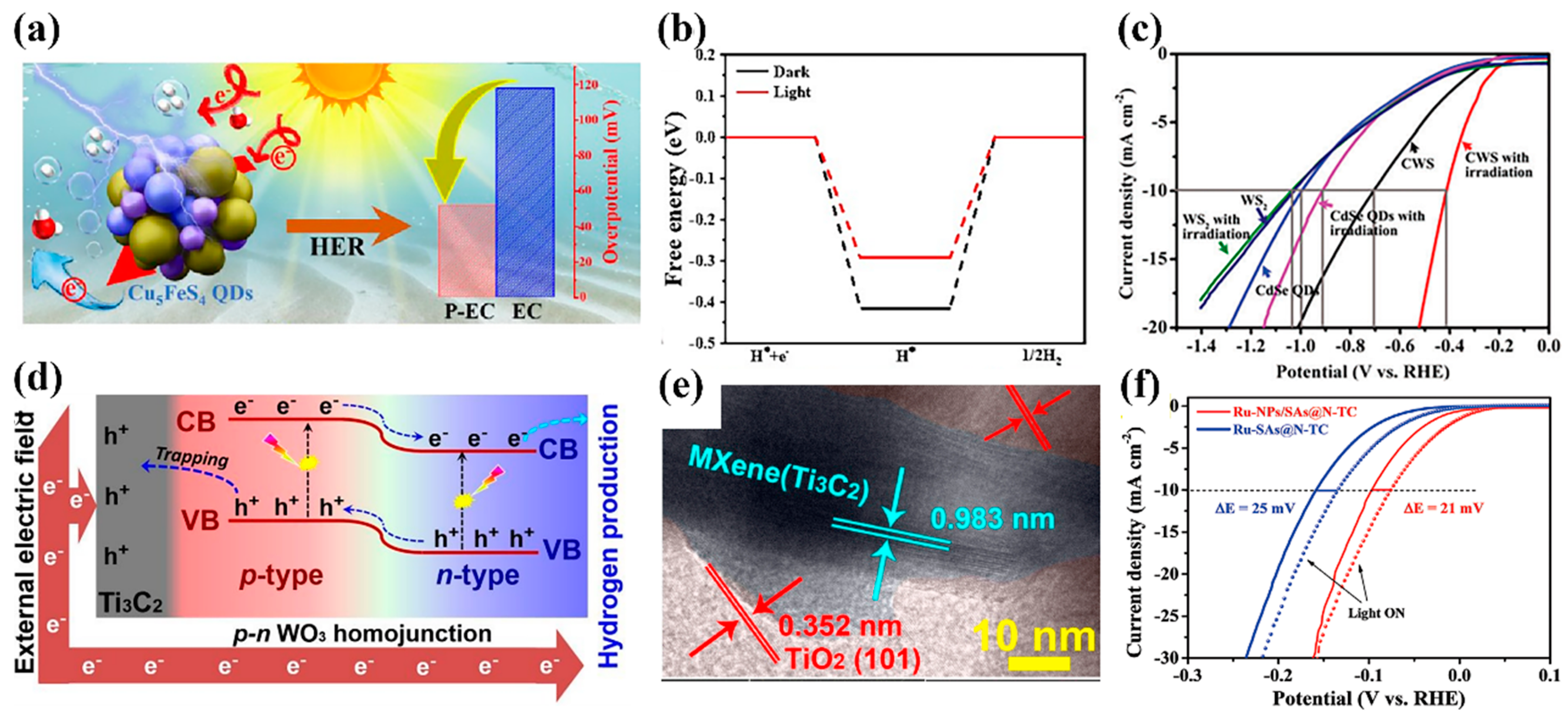 Catalysts 13 00712 g003 Catalysts 13 00712 g003