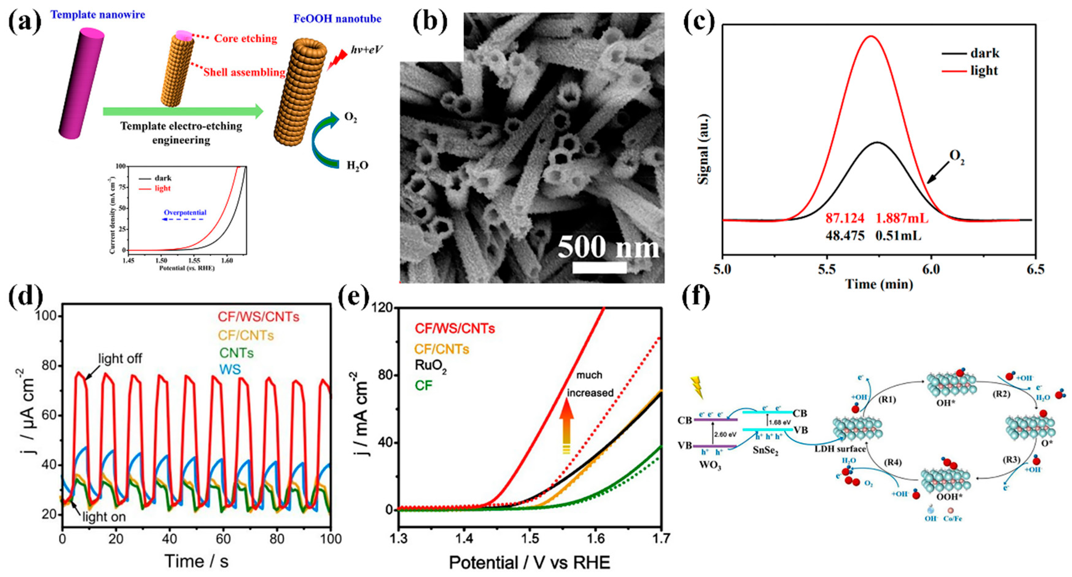 Catalysts 13 00712 g005 Catalysts 13 00712 g005