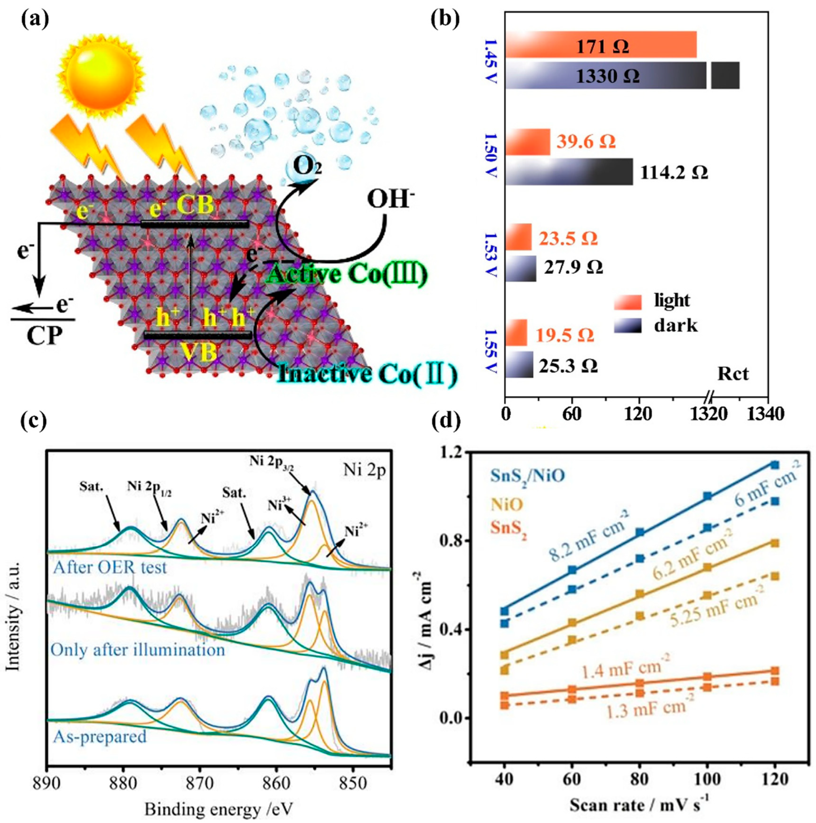 Catalysts 13 00712 g006 Catalysts 13 00712 g006