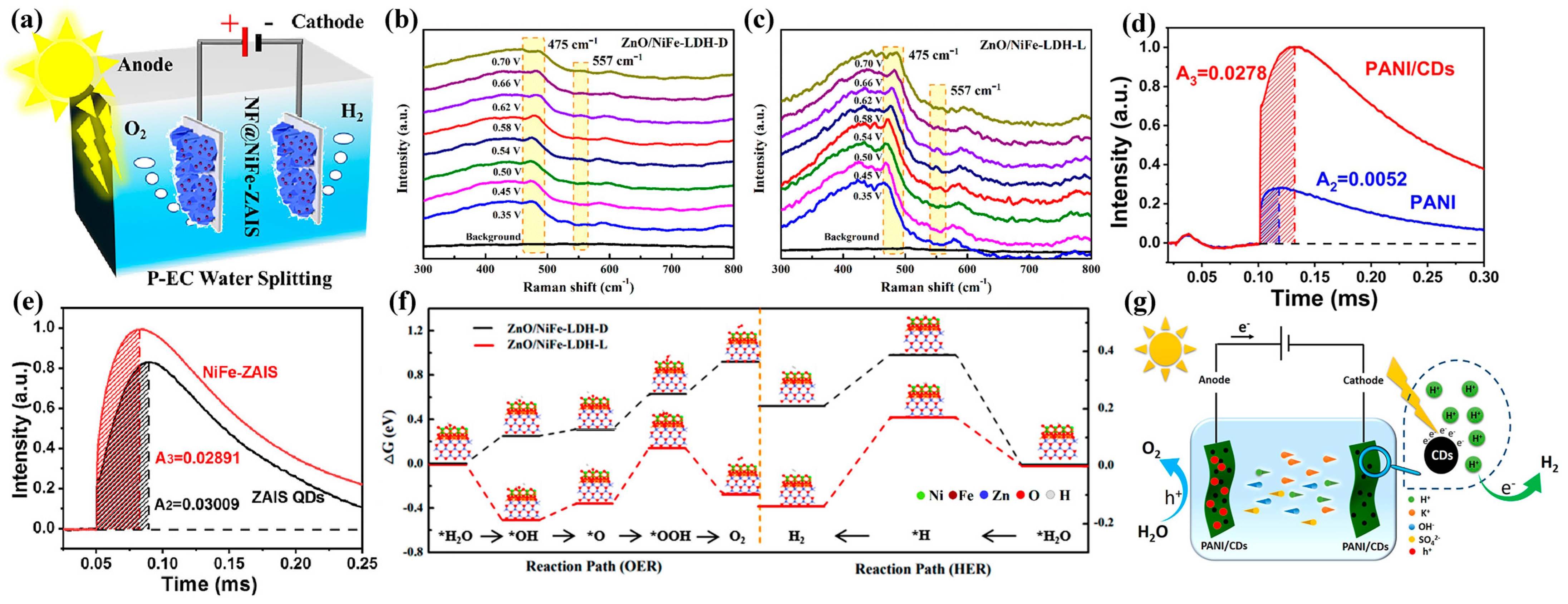Catalysts 13 00712 g008 Catalysts 13 00712 g008