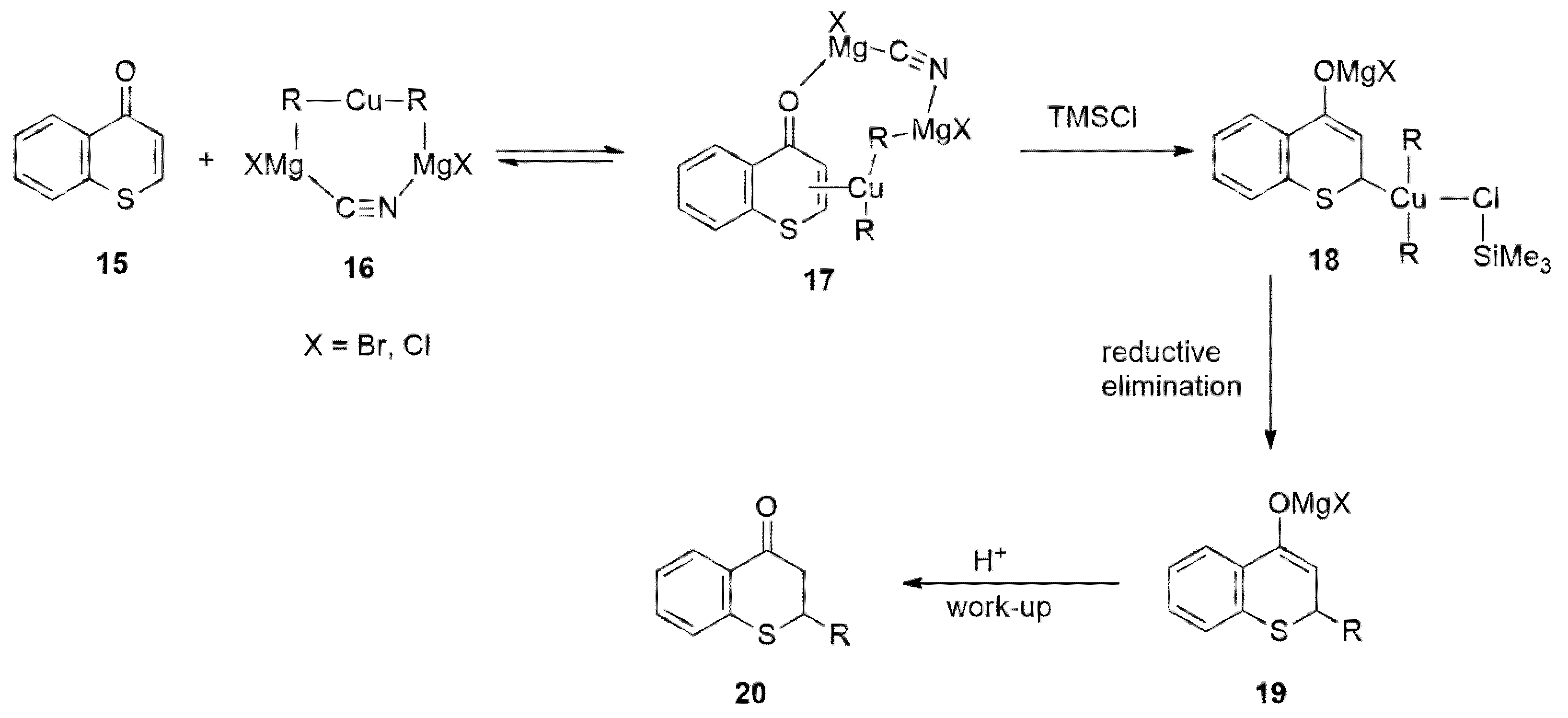 Catalysts 13 00713 g016