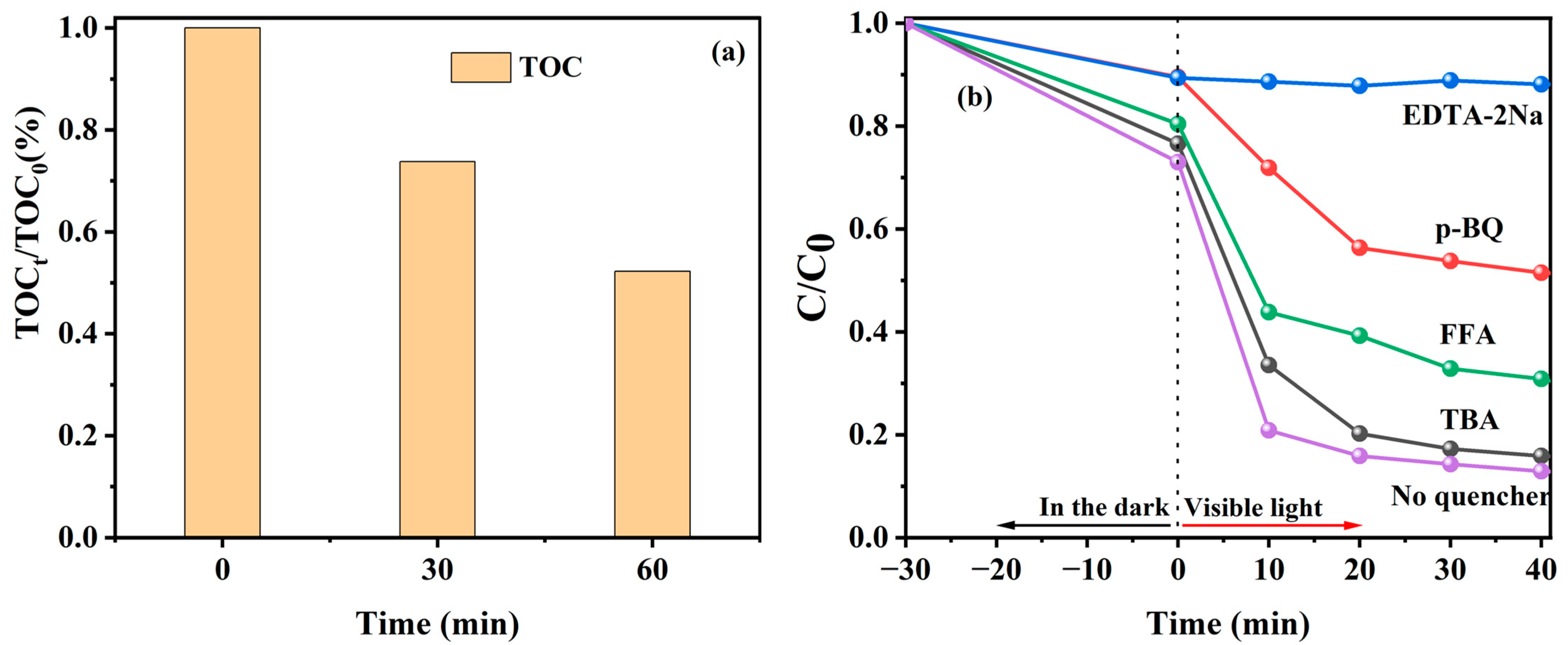 Catalysts 13 00715 g010