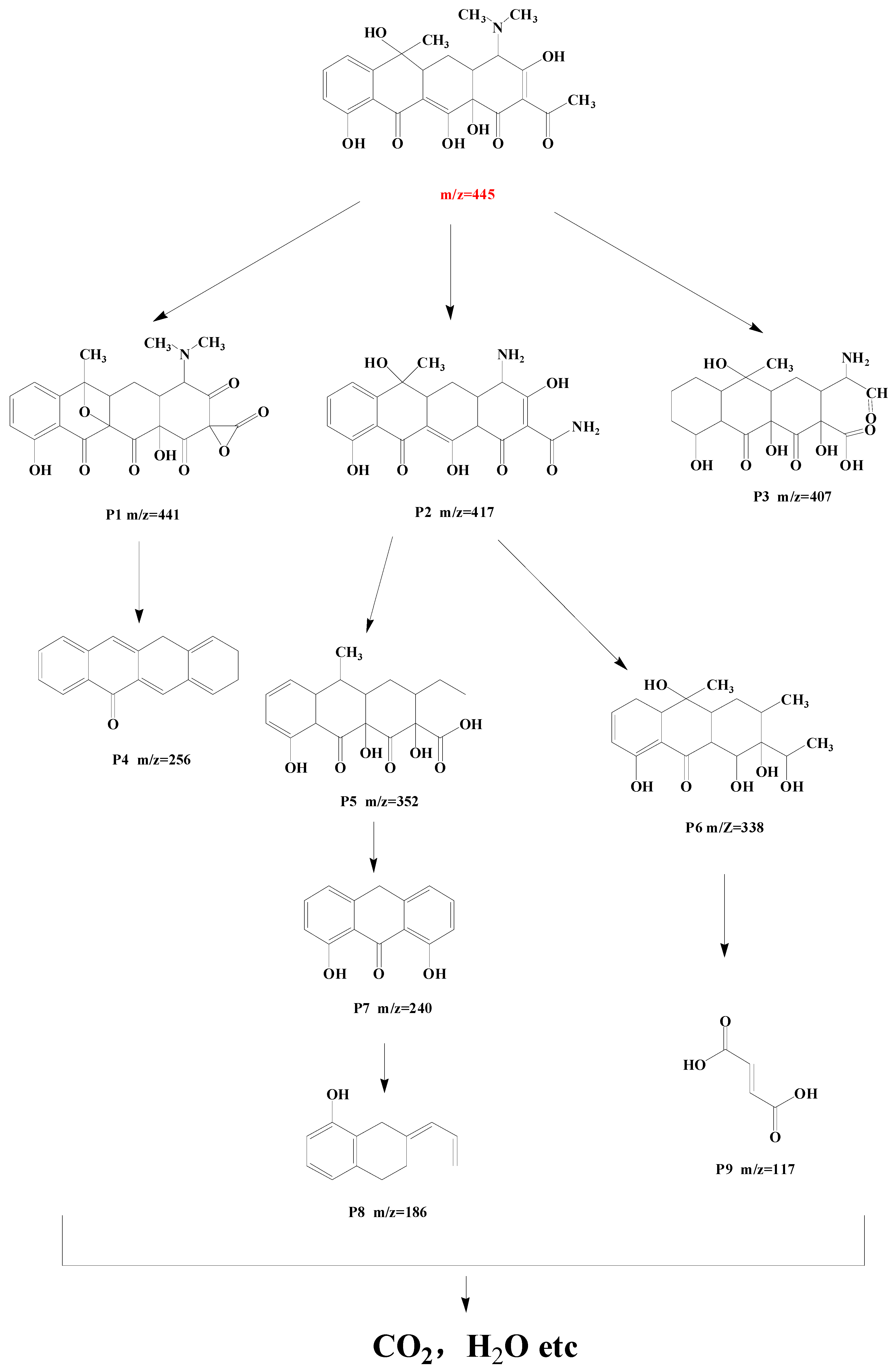 Catalysts 13 00715 g012