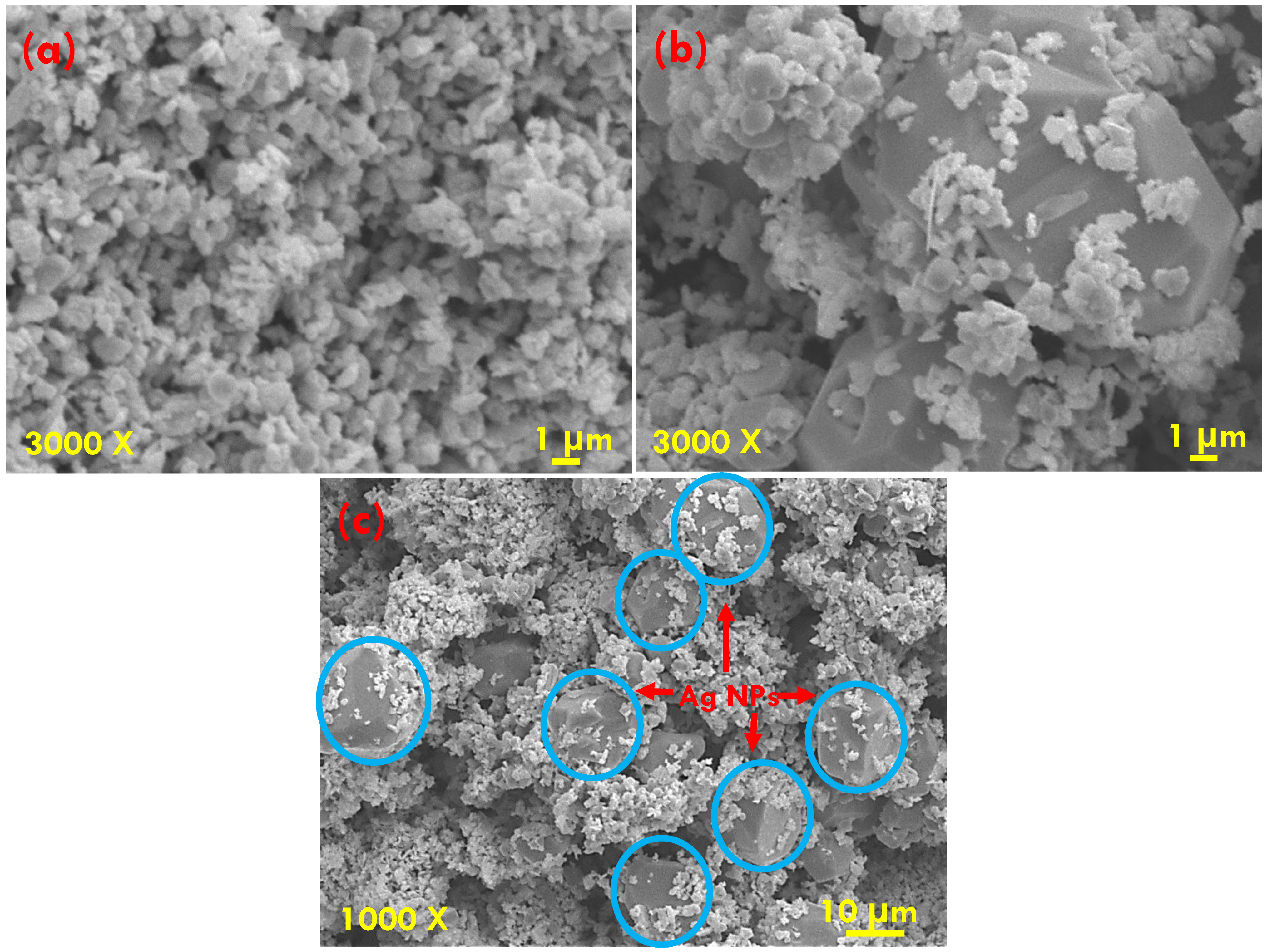 Catalysts 13 00716 g004