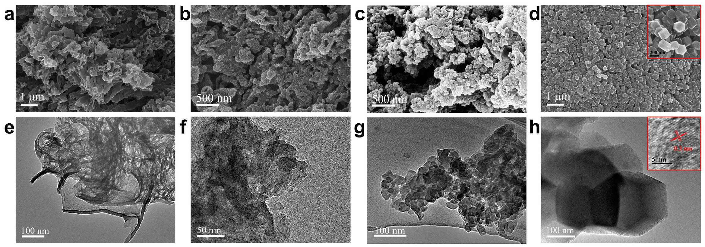 Catalysts 13 00717 g004