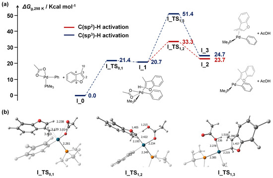 Catalysts 13 00724 g001