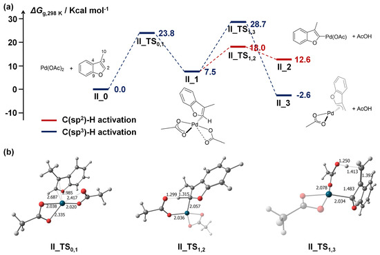Catalysts 13 00724 g003
