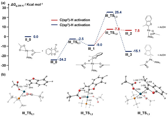 Catalysts 13 00724 g004