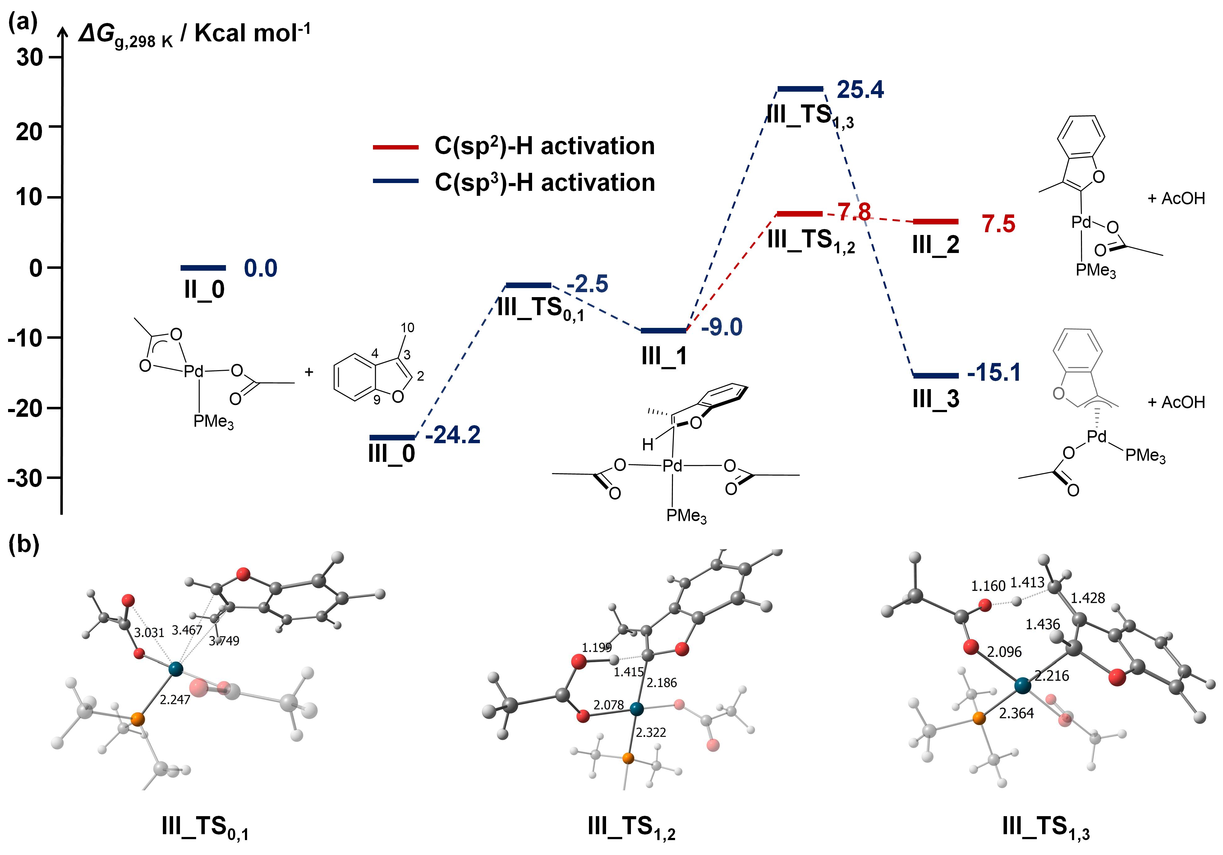 Catalysts 13 00724 g004