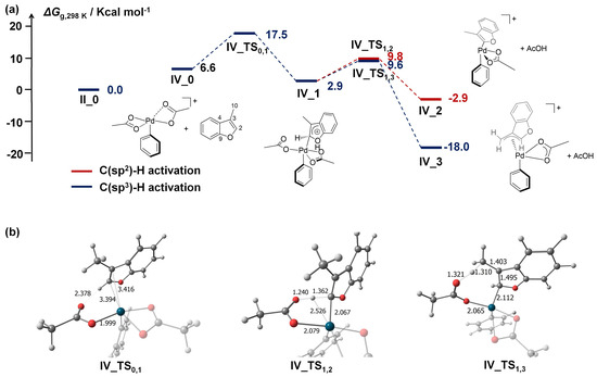 Catalysts 13 00724 g005