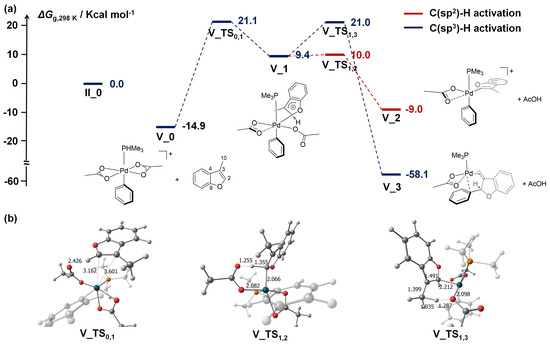 Catalysts 13 00724 g006