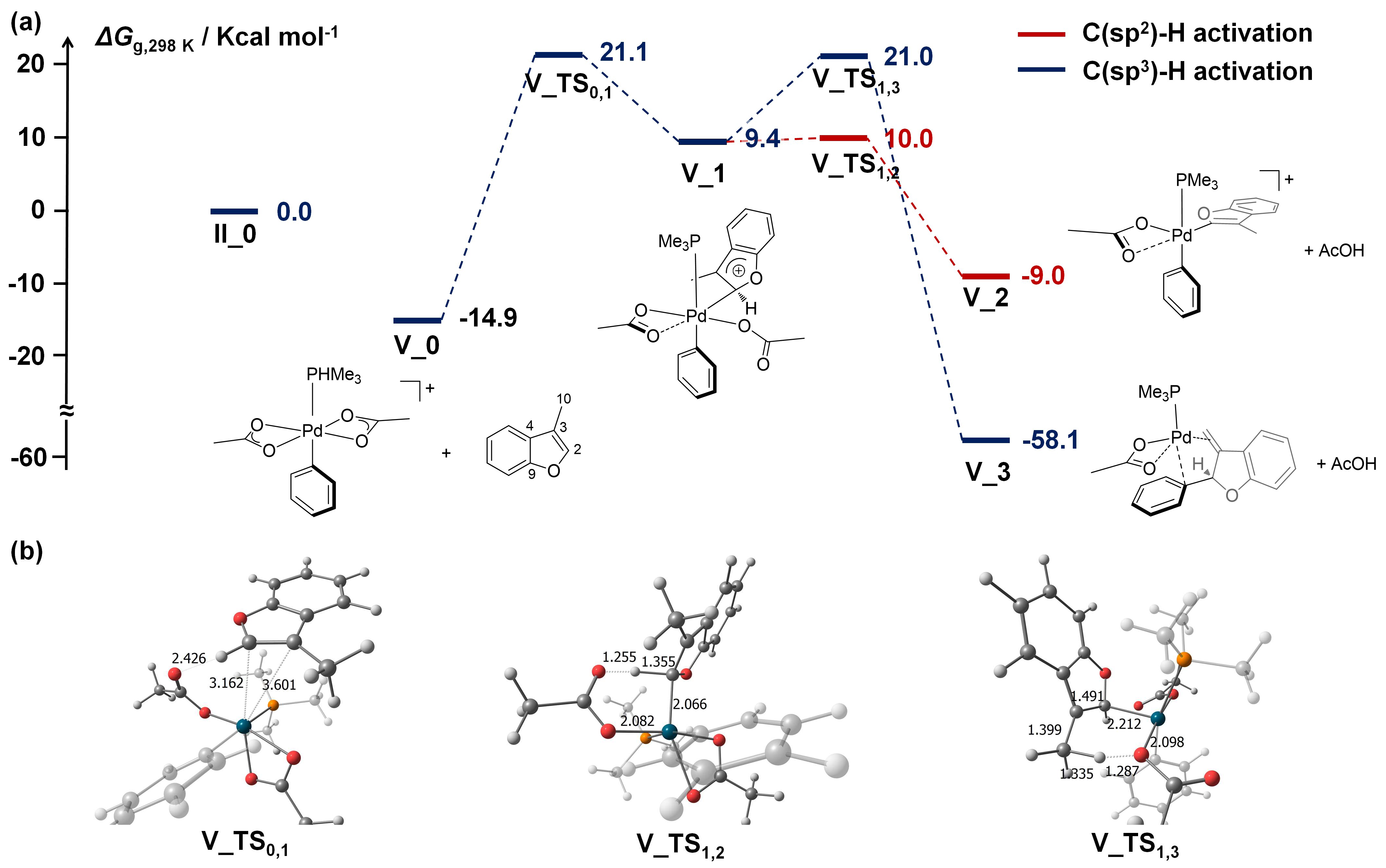 Catalysts 13 00724 g006