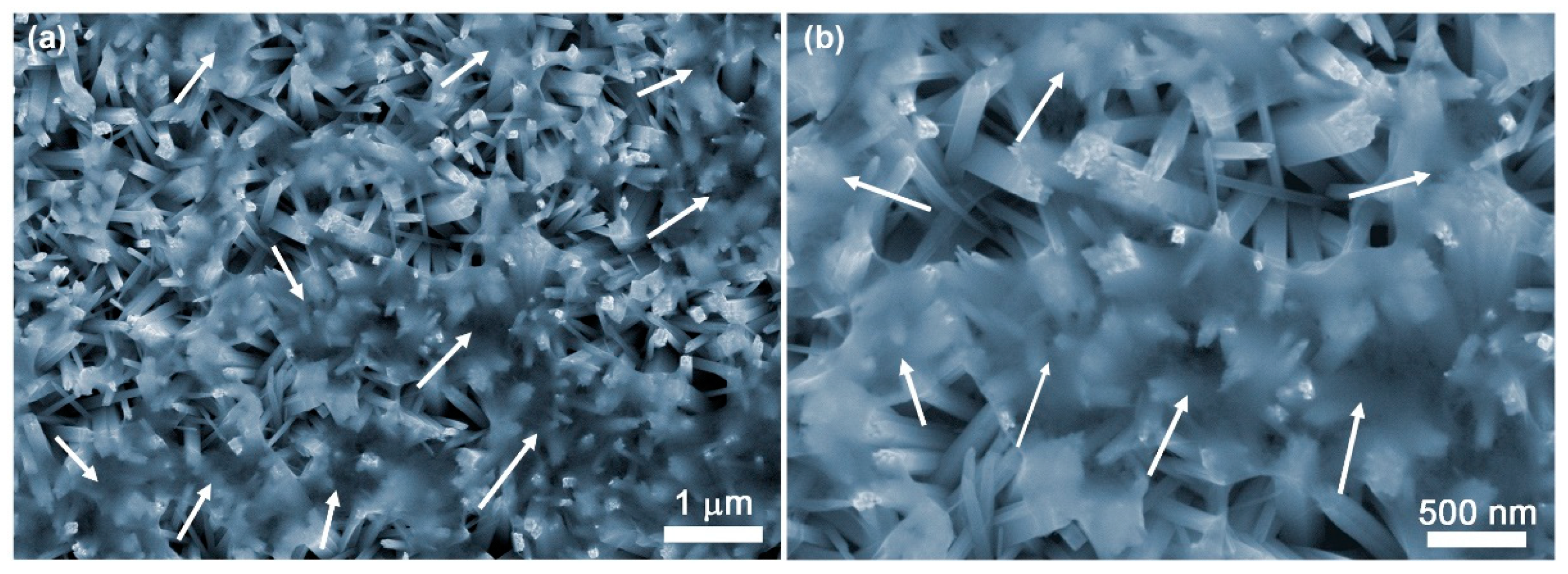 Catalysts 13 00727 g001 Catalysts 13 00727 g001
